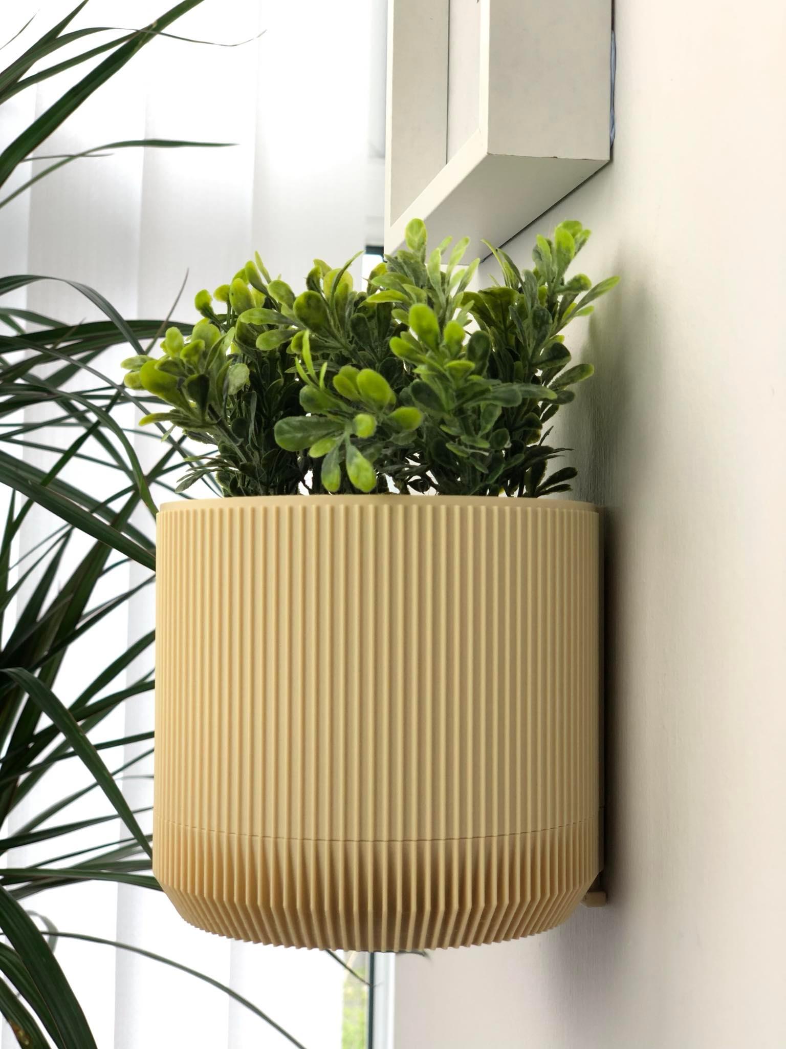 Wall Mount Plant Pot - Ribbed Design  3d model