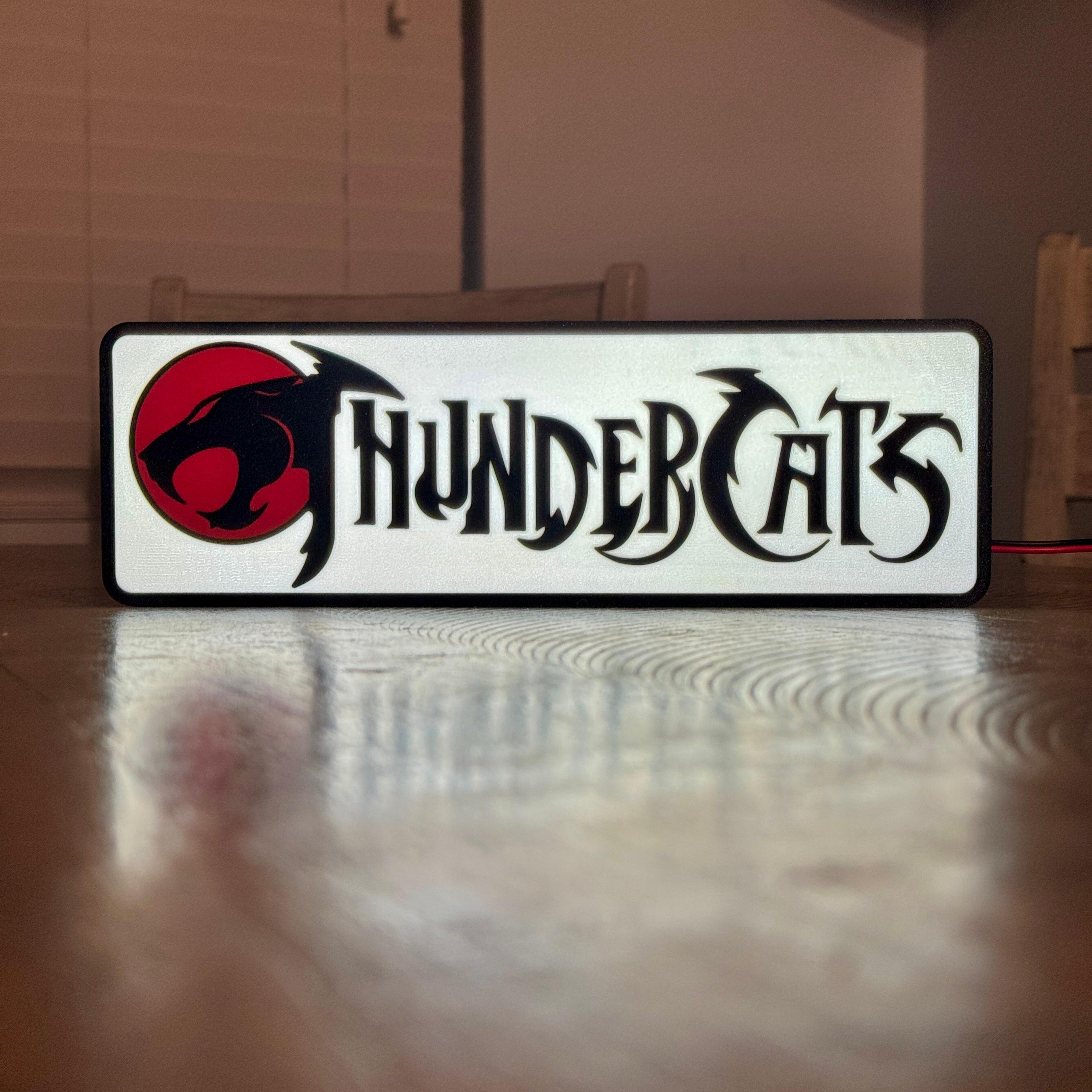 ThunderC Light Box 3d model