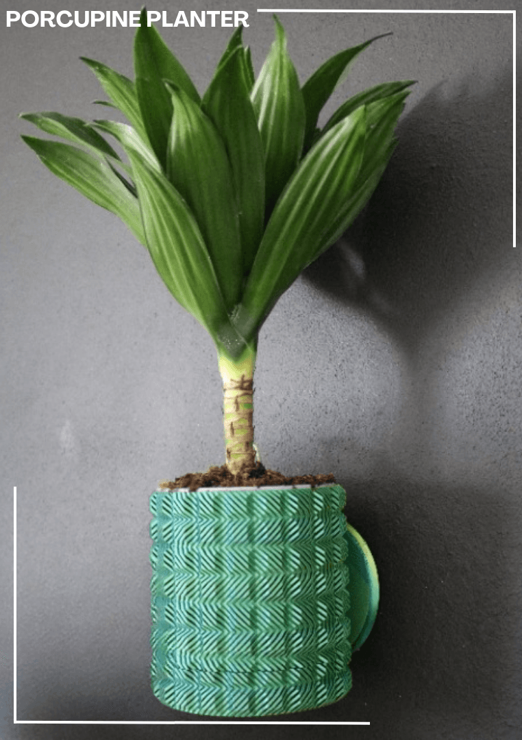 Porcupine Planter / Vase 3d model