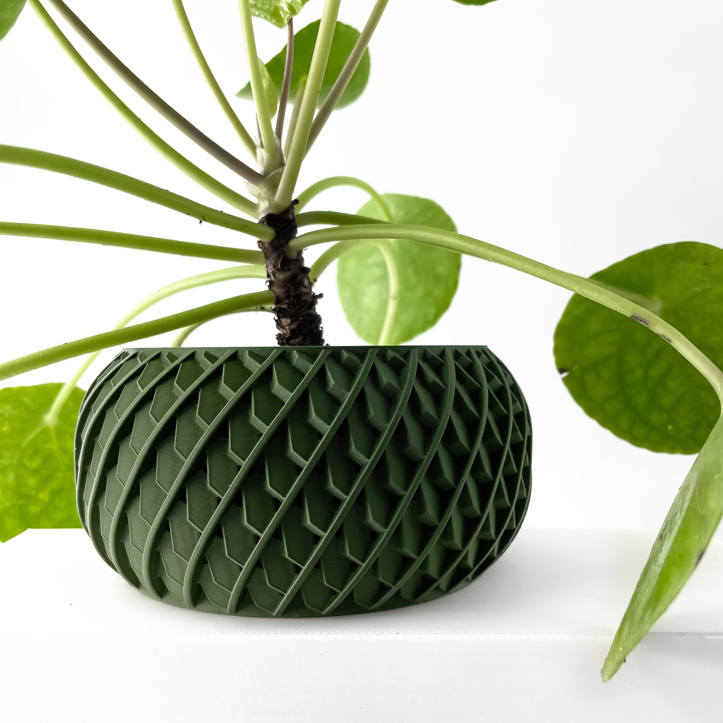 The Evlar Planter Pot with Drainage Tray & Stand Included | Modern and Unique Home Decor 3d model