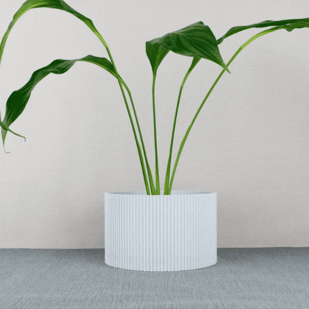 Blumentopf für Pflanzenliebhaber 3d model