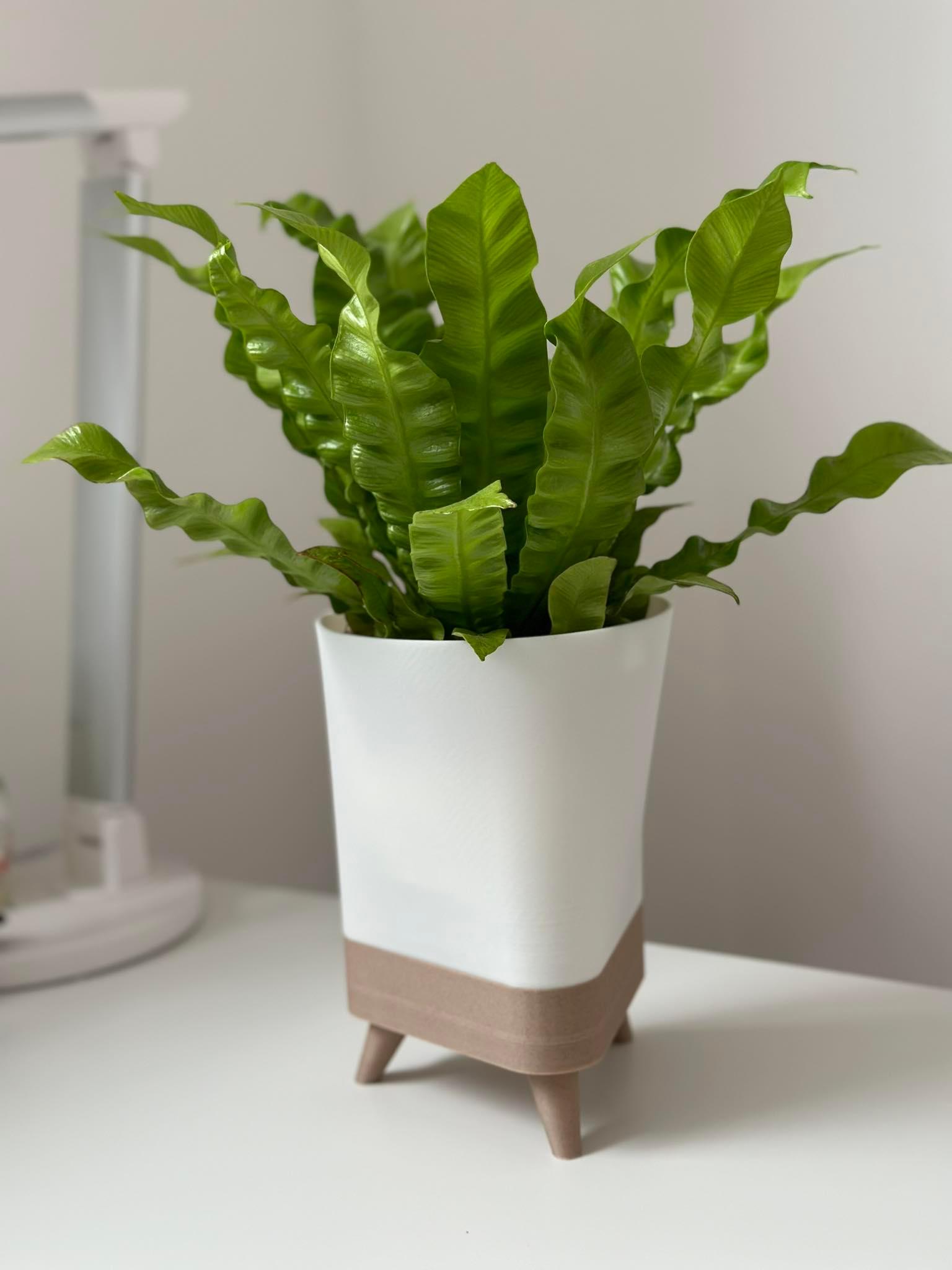 Trojnozka planter with legs 3d model