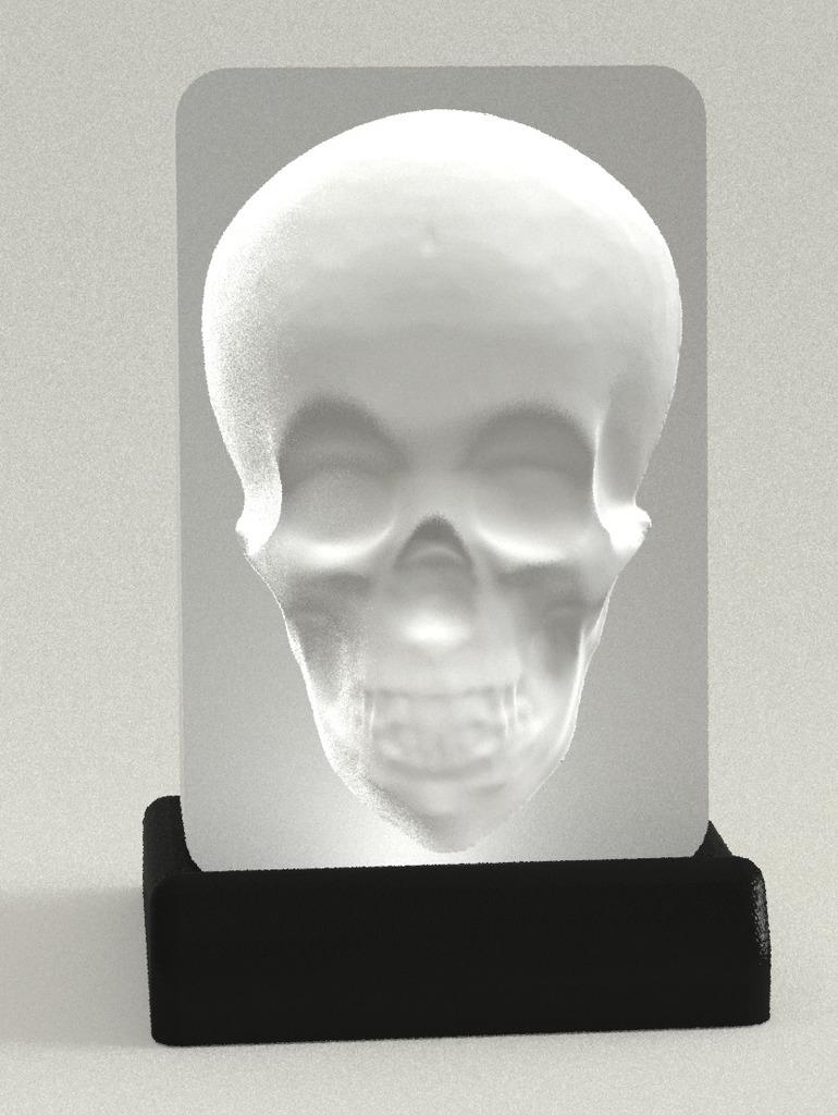 Optical illusion - Murray the tracking Skull 3d model