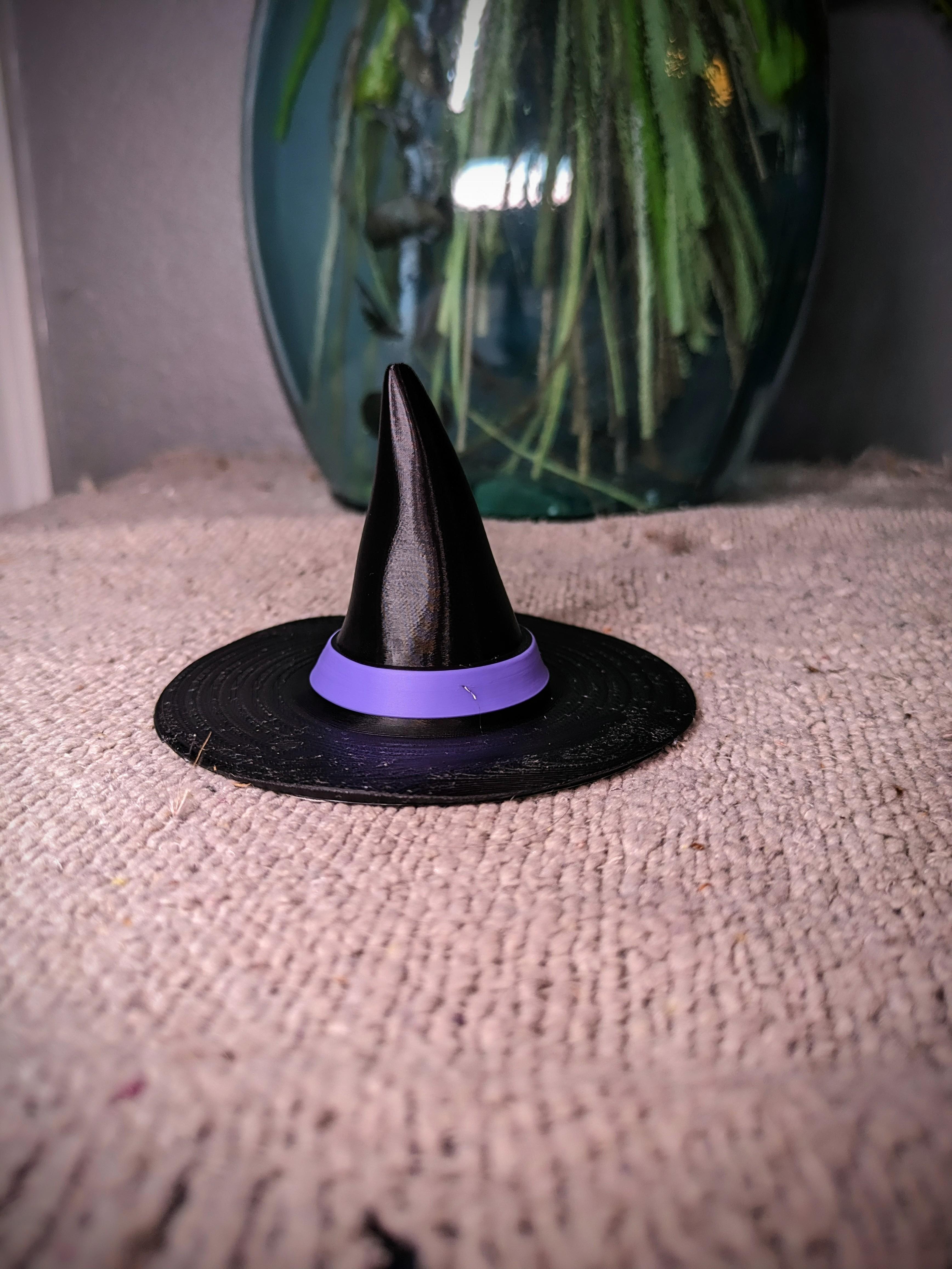 Witch's Hat 3d model