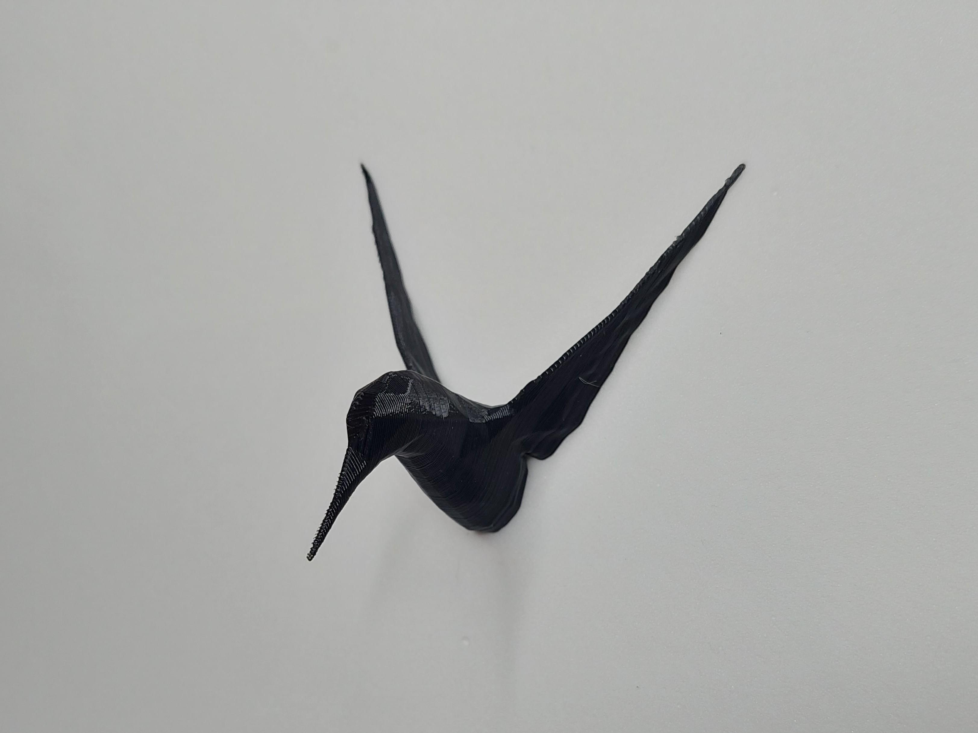 Low Poly Humming Bird Fridge Magnet 3d model