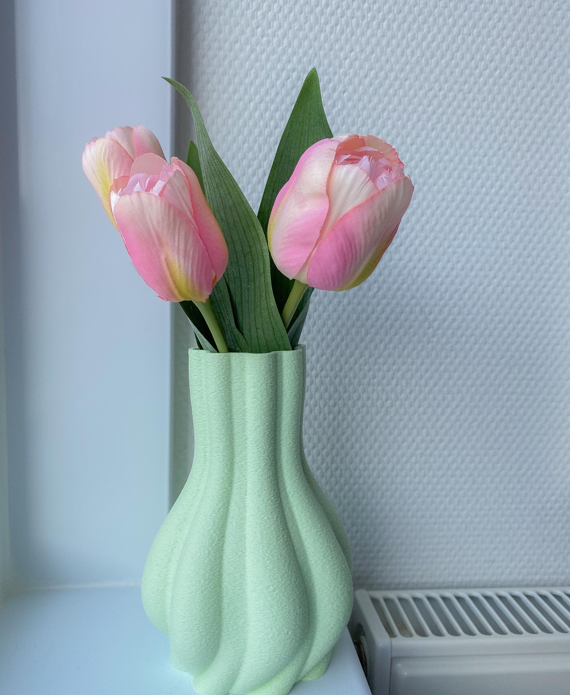 Vase Set 9.2 - Beautiful vase in fuzzy skin!
Polymaker filament. - 3d model