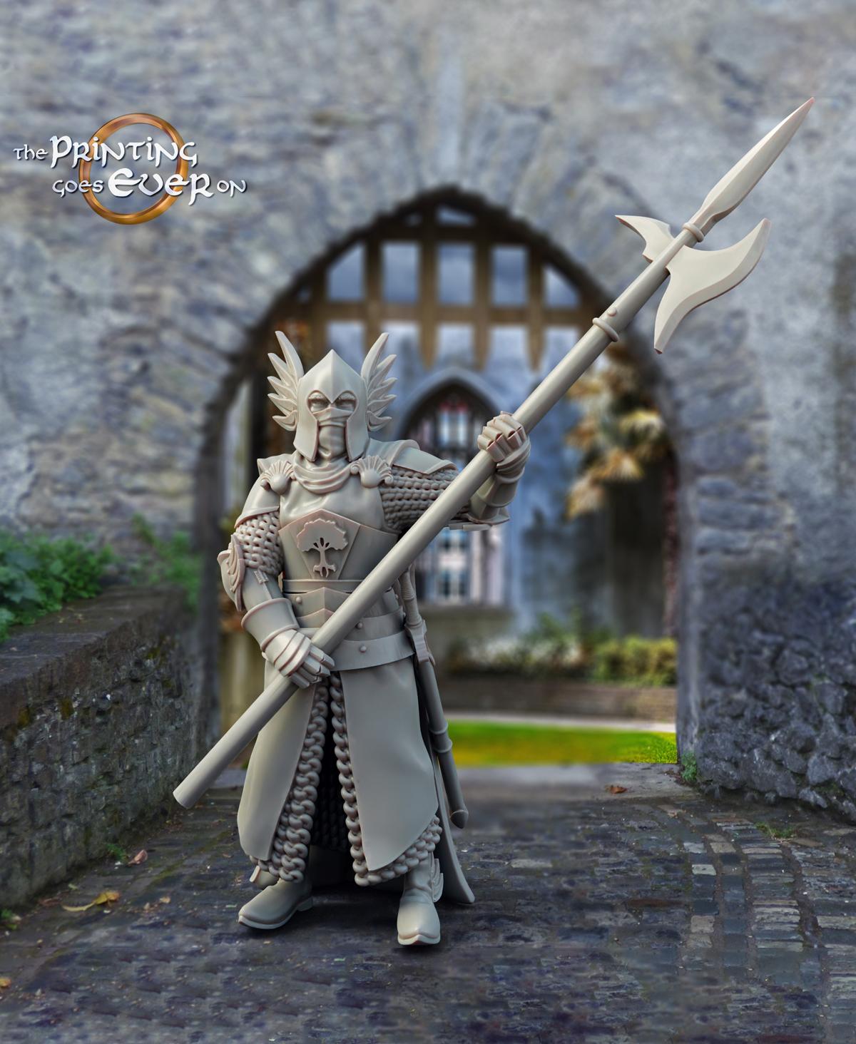 King's Guard - Pose B 3d model