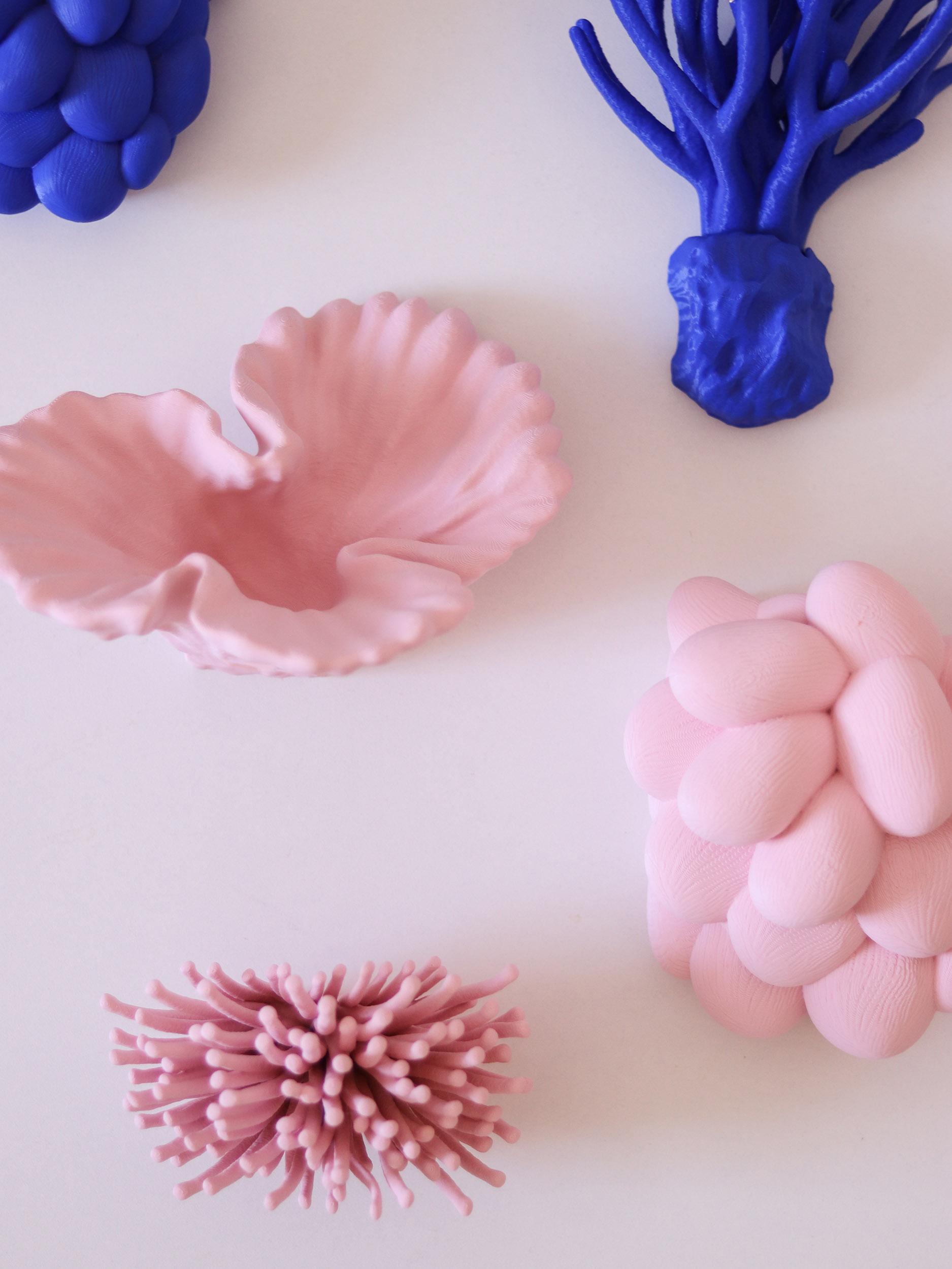 Anemone | Wall Mounted 3d model