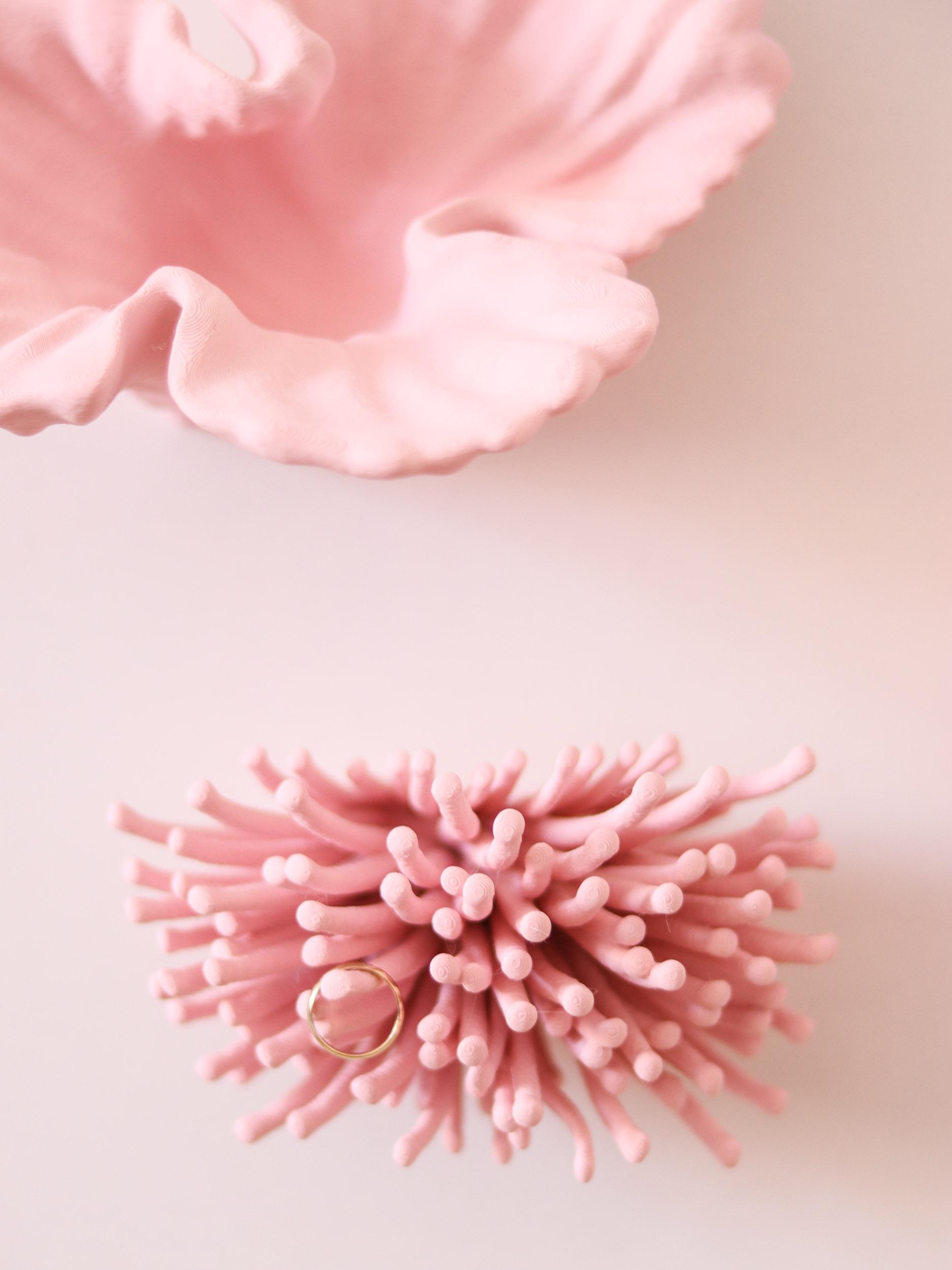 Anemone | Wall Mounted 3d model