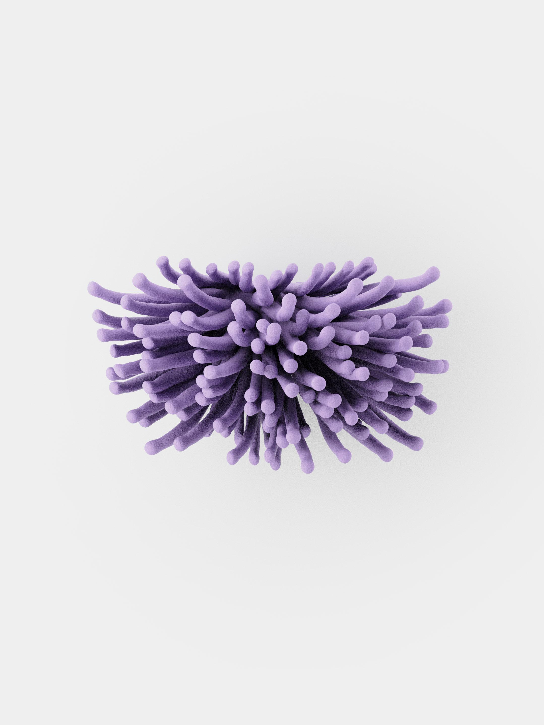 Anemone | Wall Mounted 3d model