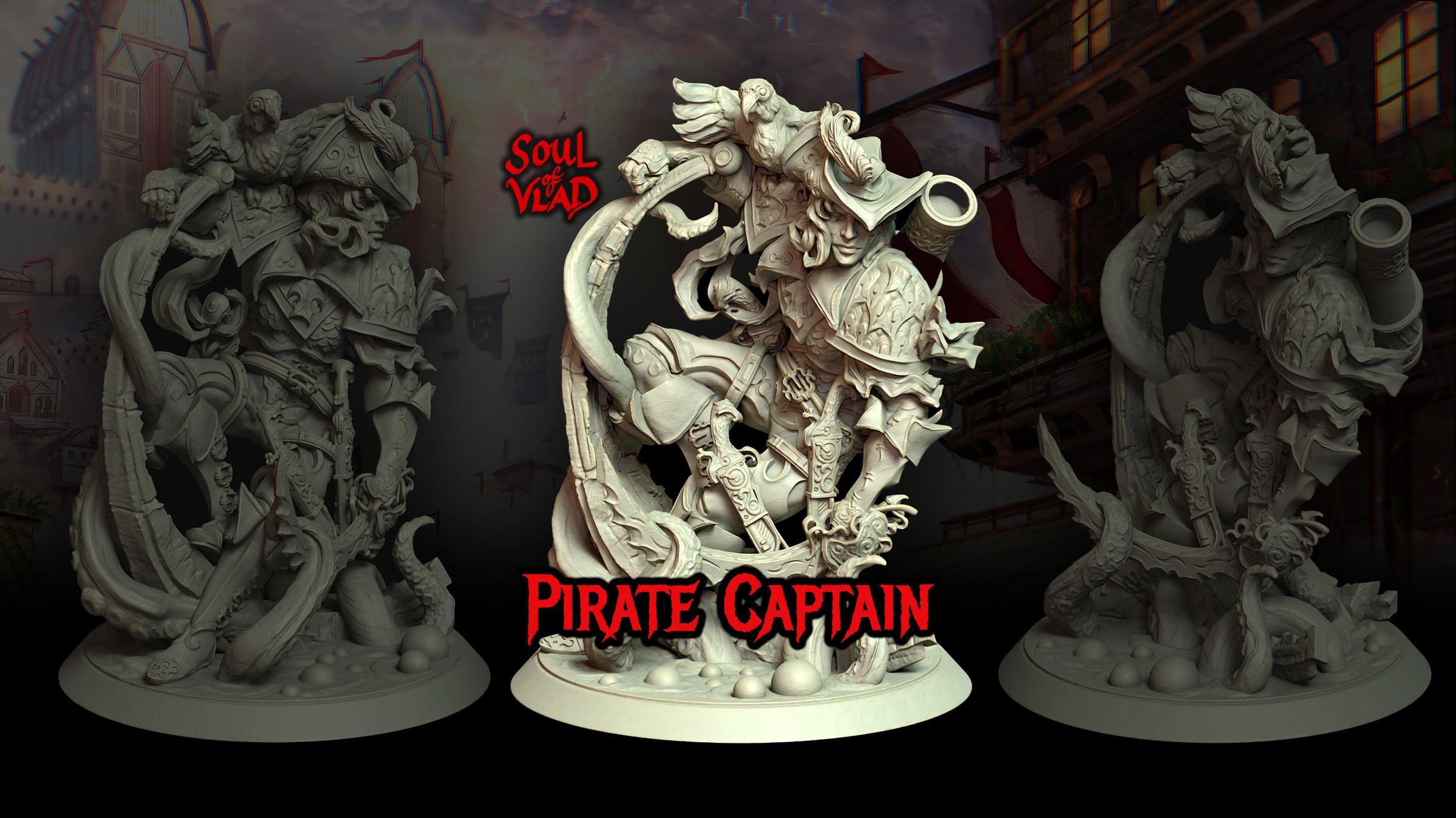 Pirate Captain 3d model