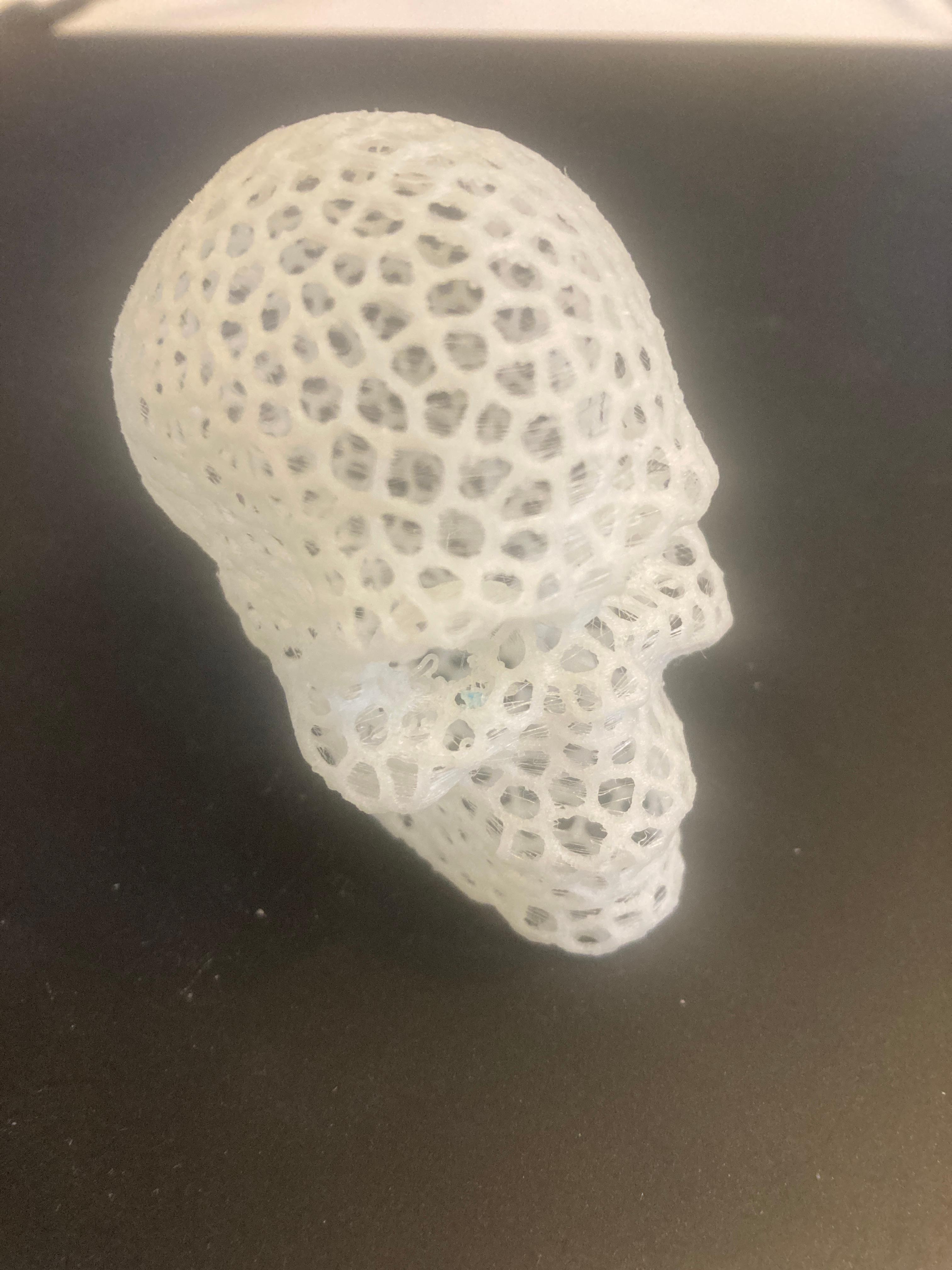 Voronoi Skull - Funktioniert Perfect  - 3d model