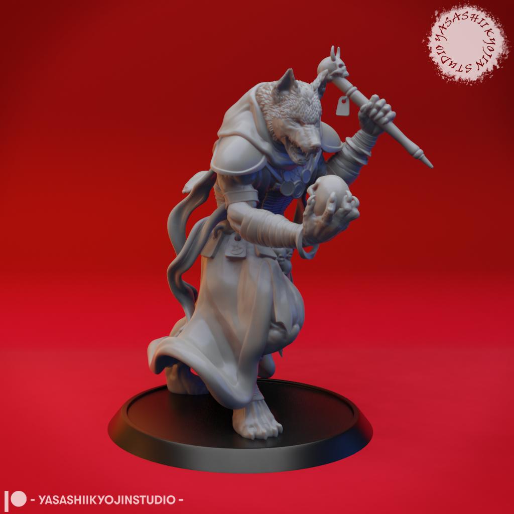 Coyote Necromancer - Tabletop Miniature (Pre-Supported) 3d model