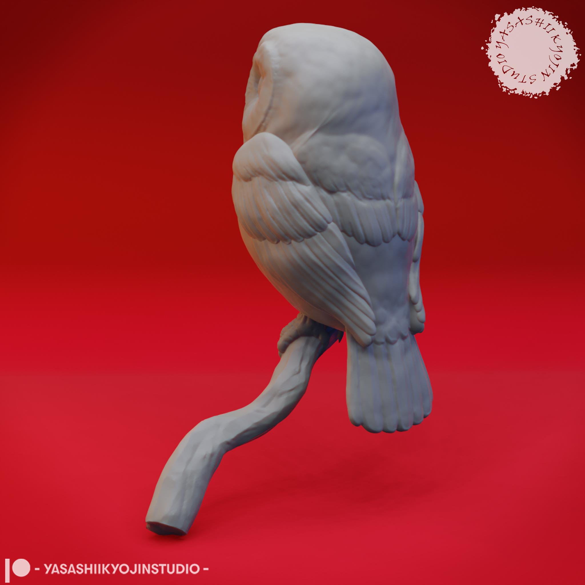Northern Saw Whet Owl - Bust (Pre-Supported) 3d model
