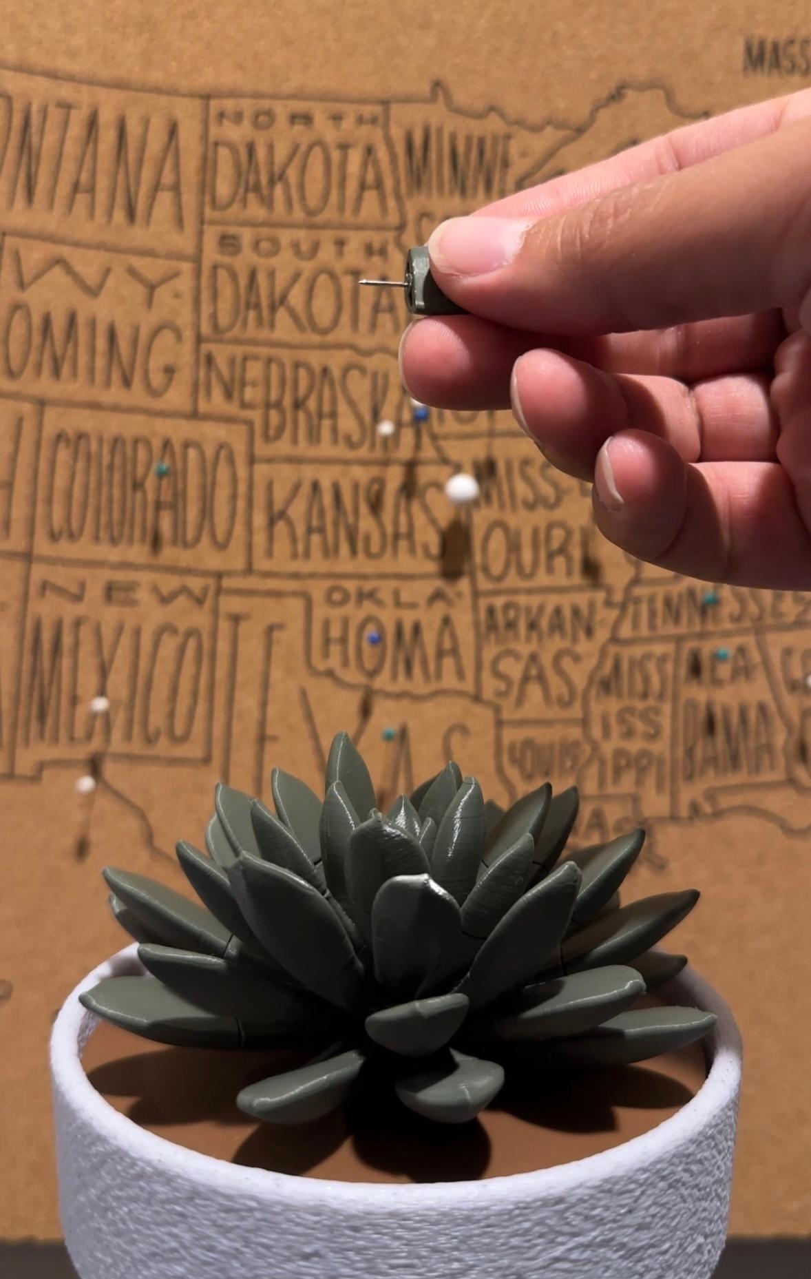 Push Pin Succulent 3d model