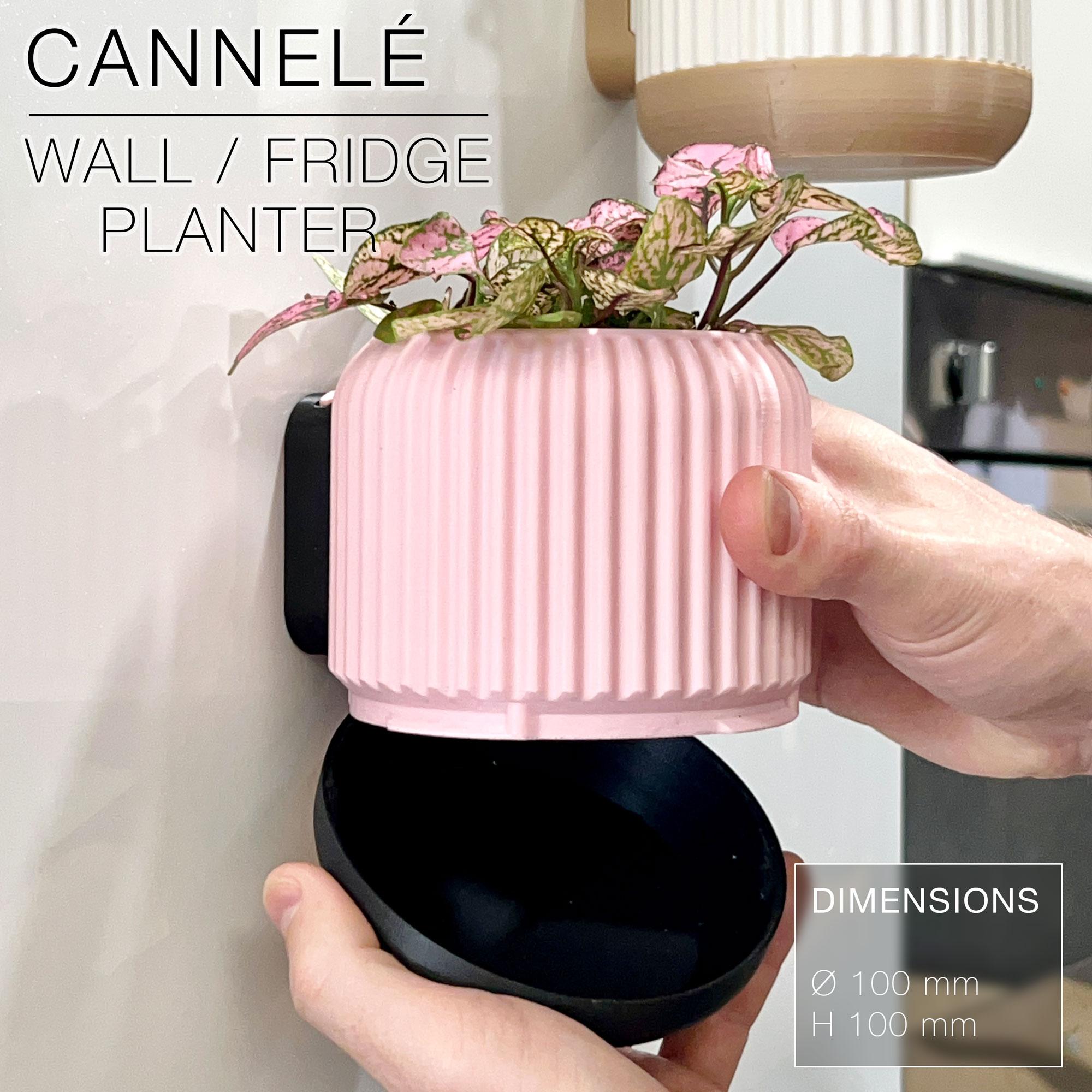 CANNELÉ | Wall/fridge Planter 3d model