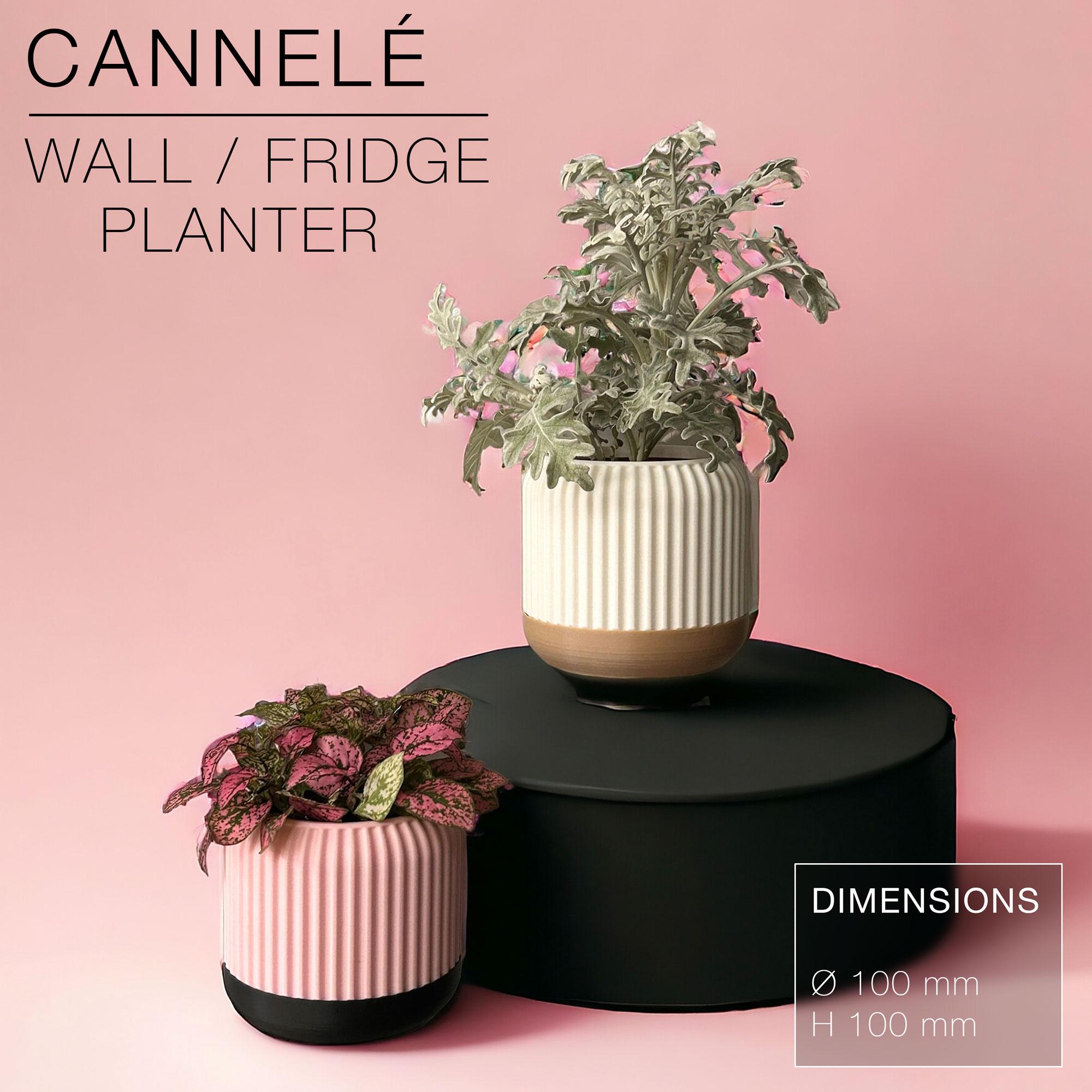 CANNELÉ | Wall/fridge Planter 3d model