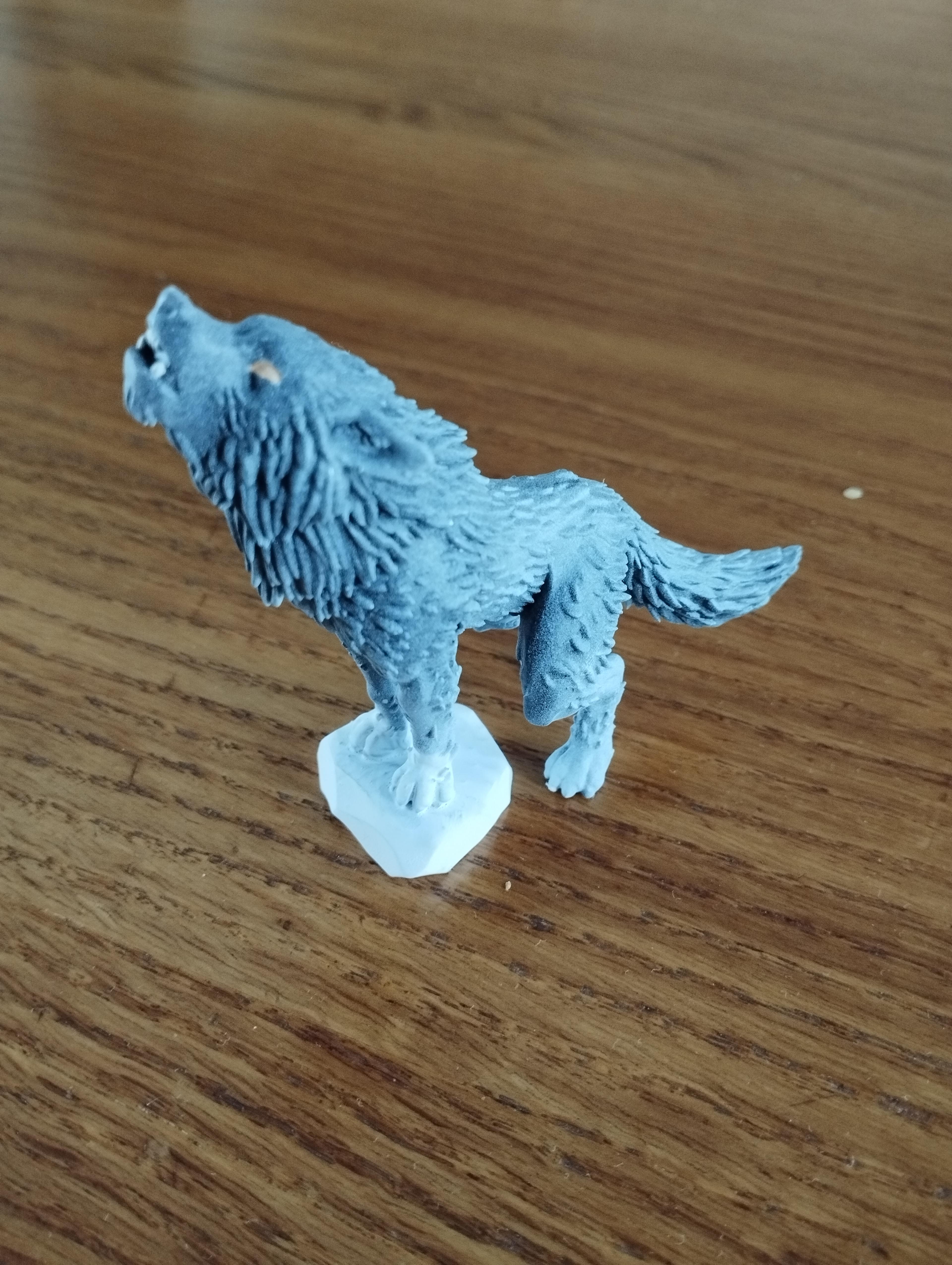 Wolf E - With Free Dragon Warhammer - 5e DnD Inspired for RPG and Wargamers 3d model