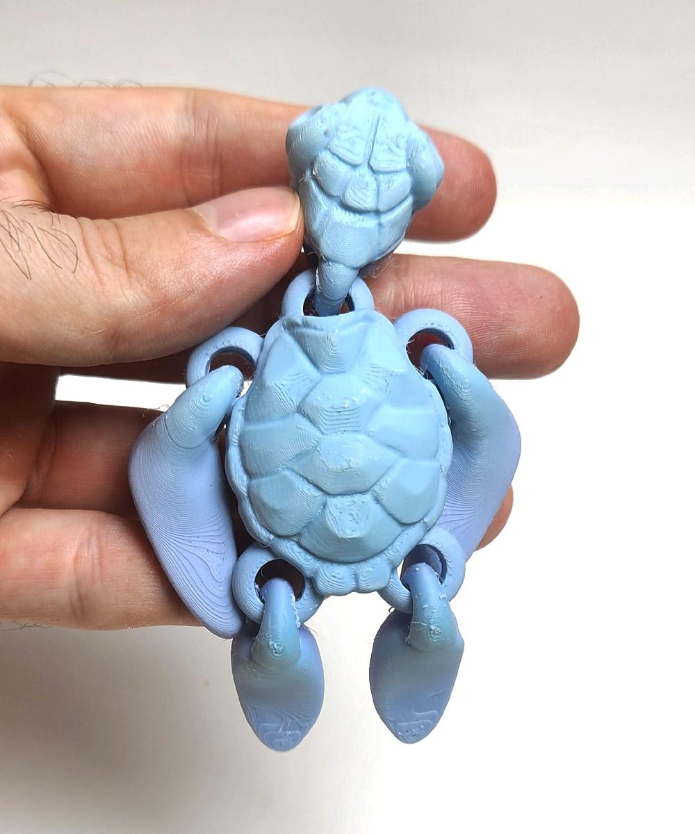 Articulated Cute Turtle 3d model