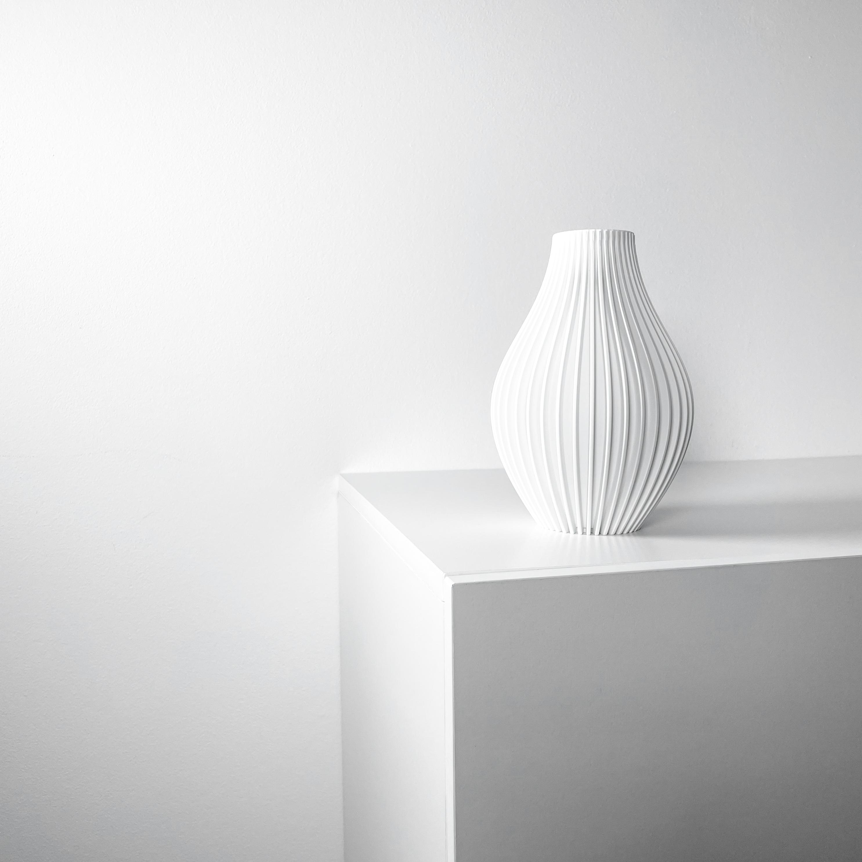 The Eres Vase, Modern and Unique Home Decor for Dried and Flower Arrangements  | STL File 3d model
