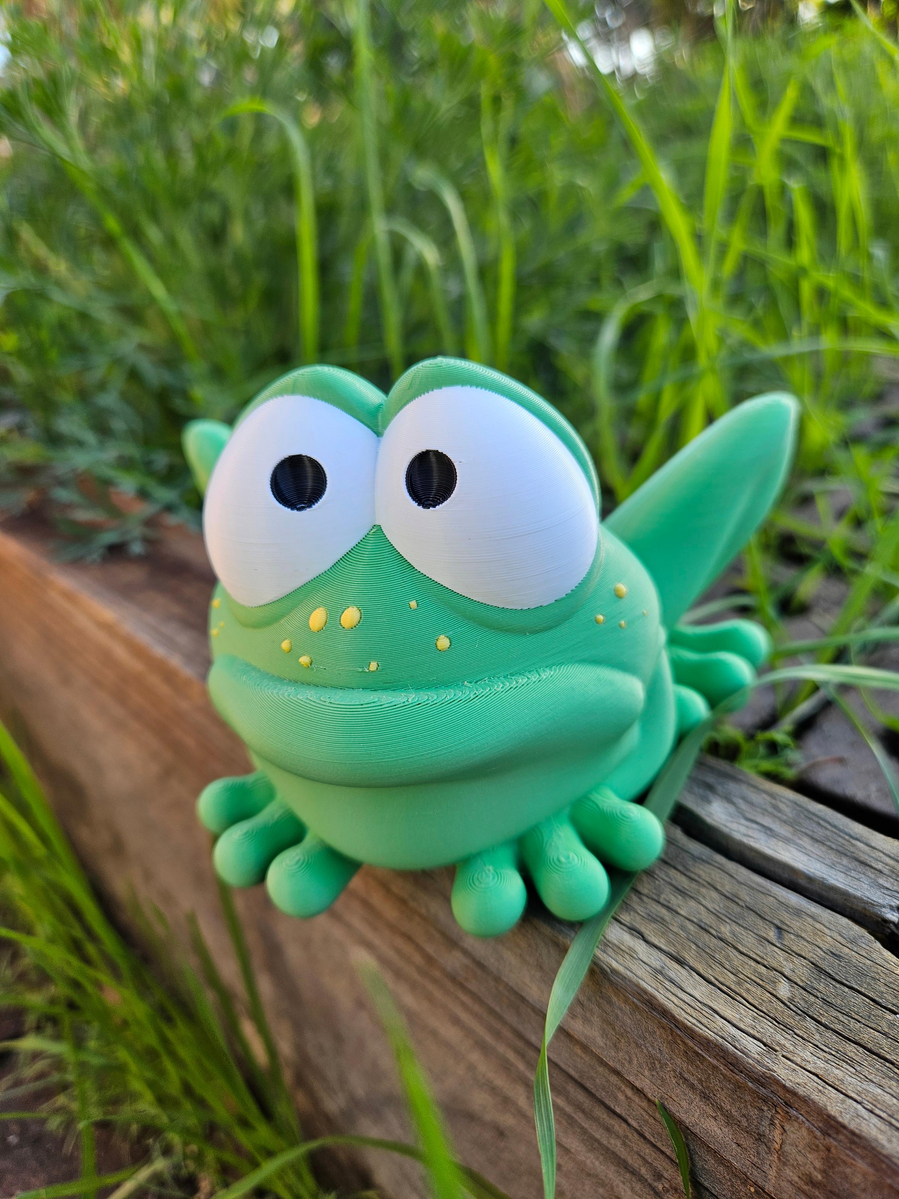 Hop - The First Frog 3d model