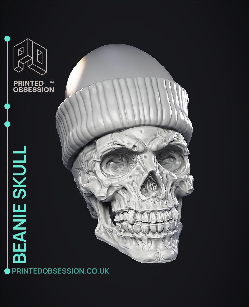 Skull in Beanie - Home Decor 3d model