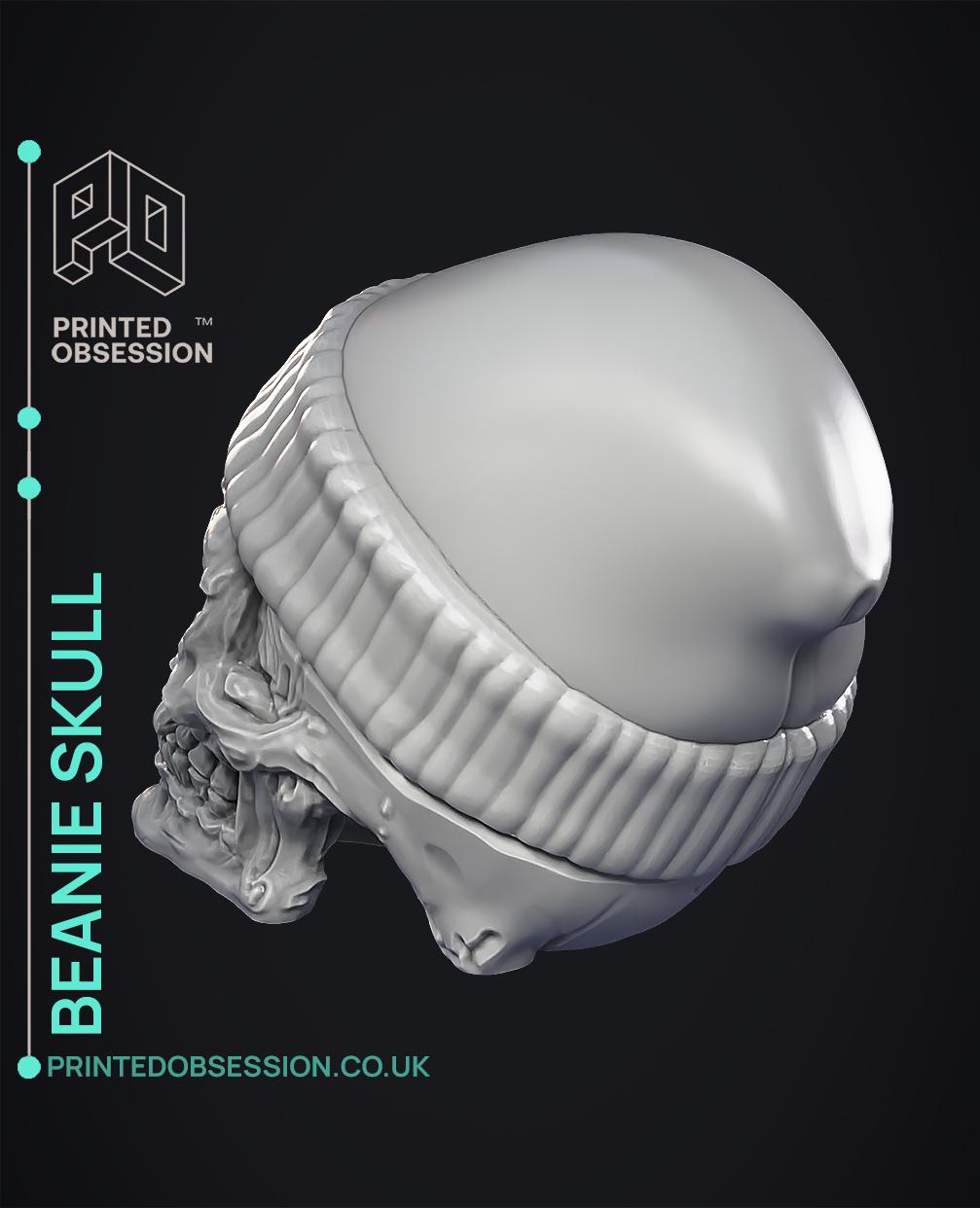 Skull in Beanie - Home Decor 3d model