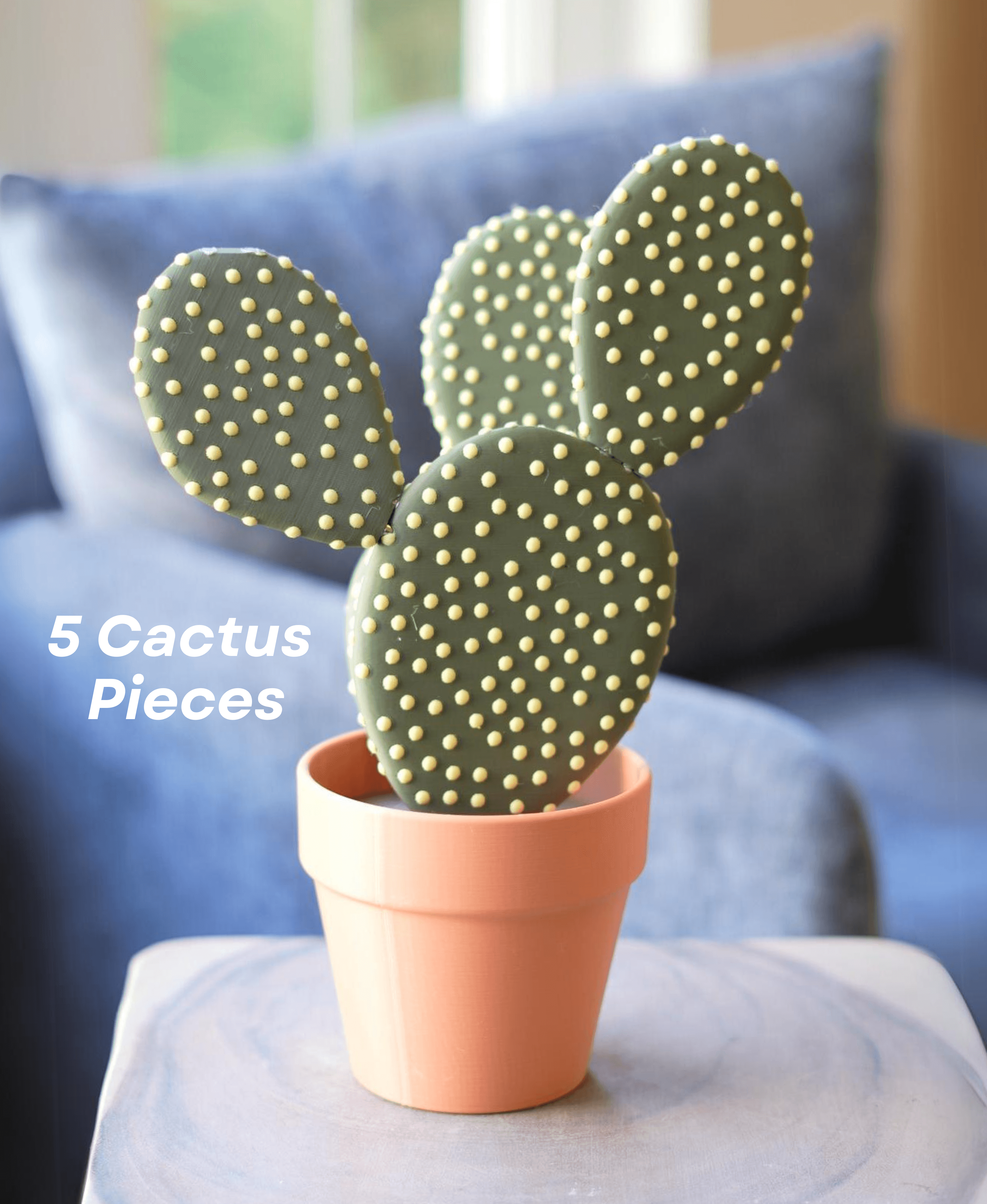 Cactus Coasters - Magnetic Cactus Coaster Set 3d model