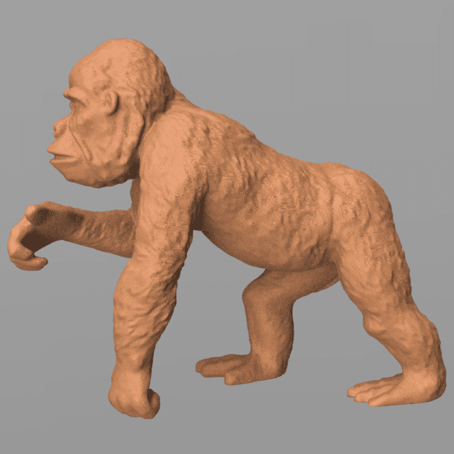 Gorilla 2 3d model