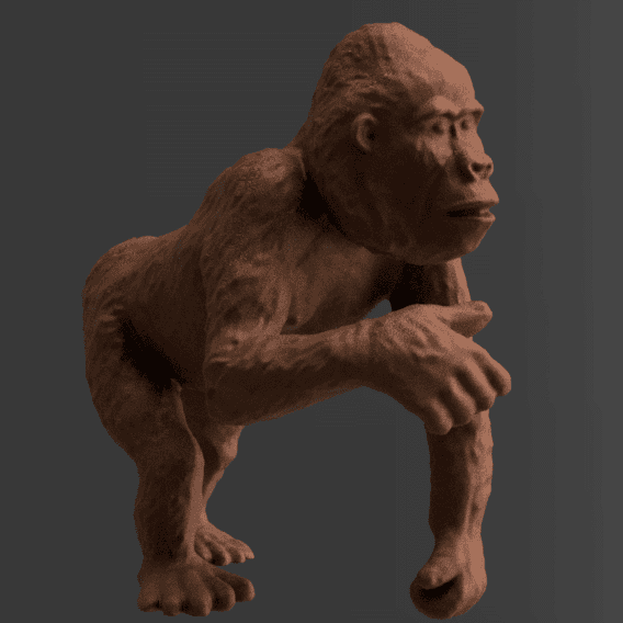 Gorilla 2 3d model