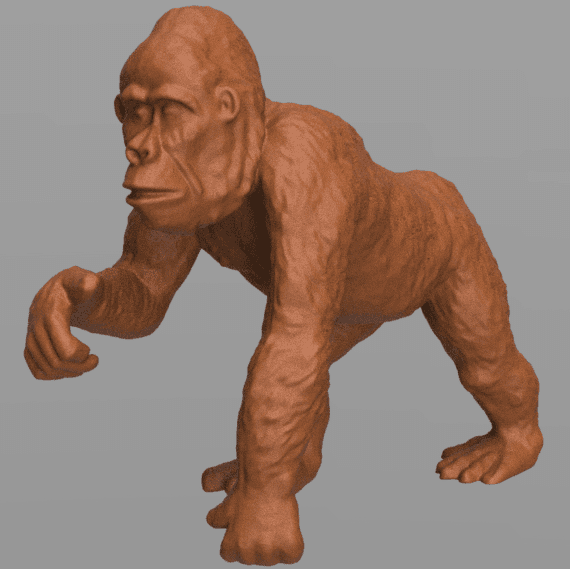 Gorilla 2 3d model