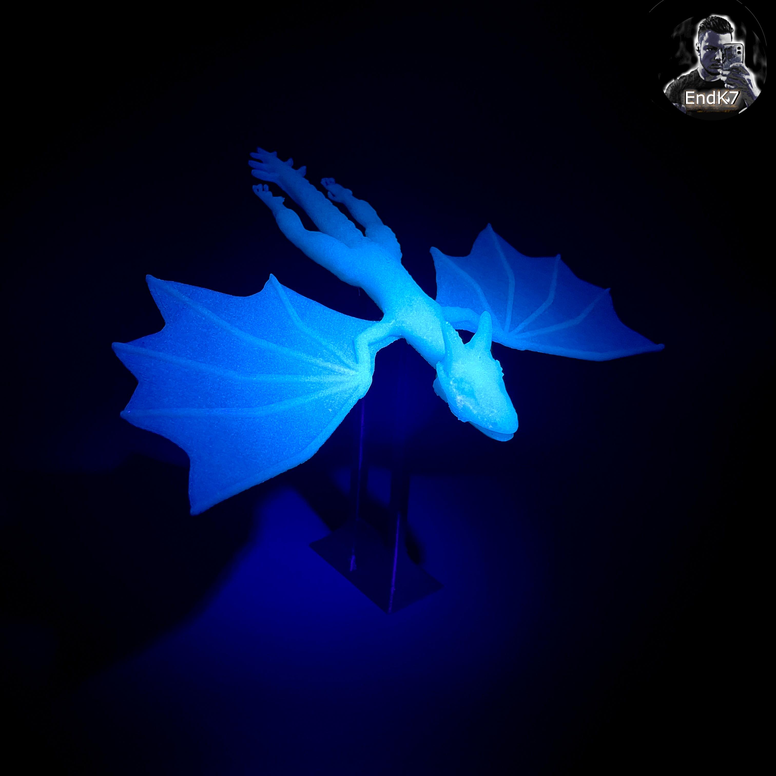 Flying Dragon - Glow in the Dark - Wyvern 3d model