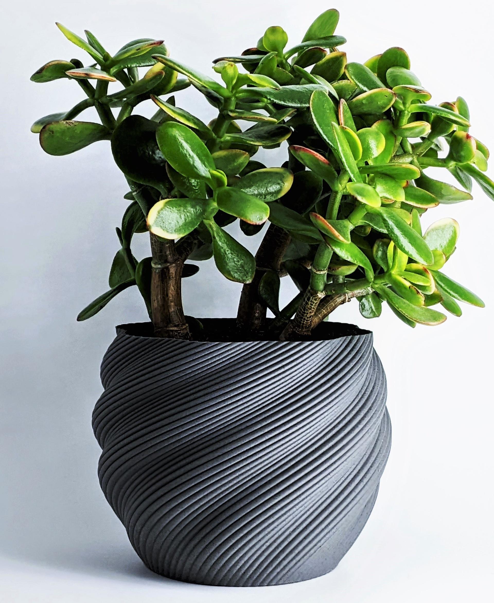 Modern PLANT POT Diluvian for succult planters to big pots | 3D Print Model