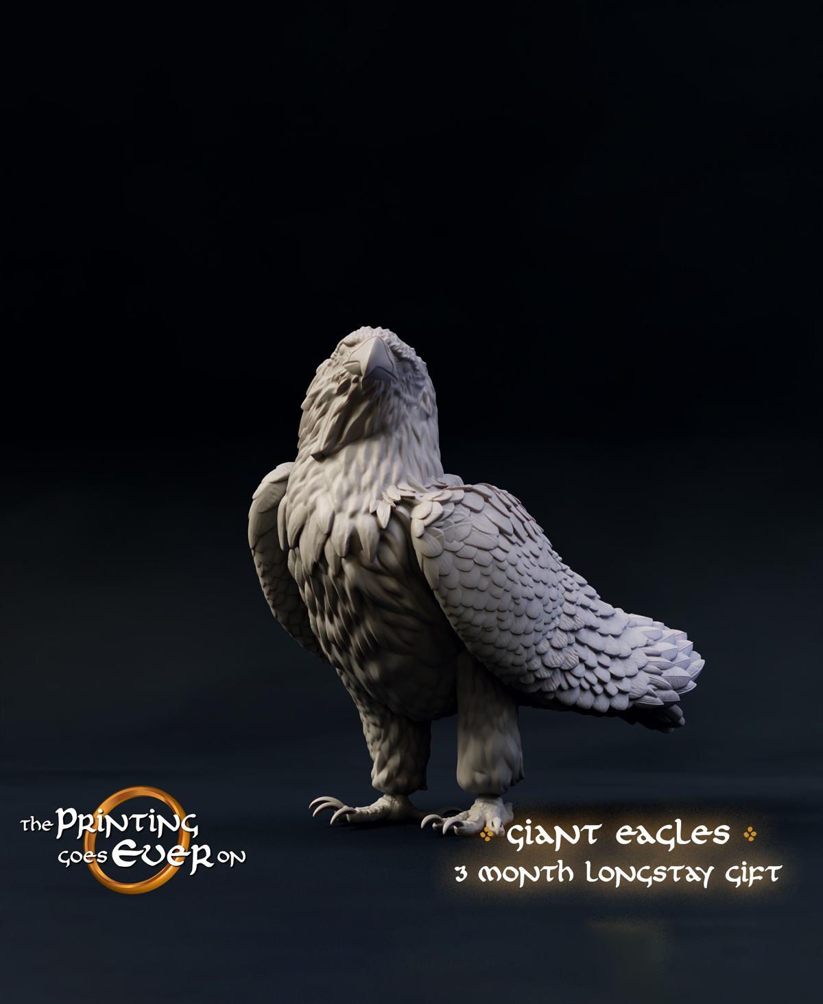 Giant Eagles - Three Month Longstay Gift 3d model