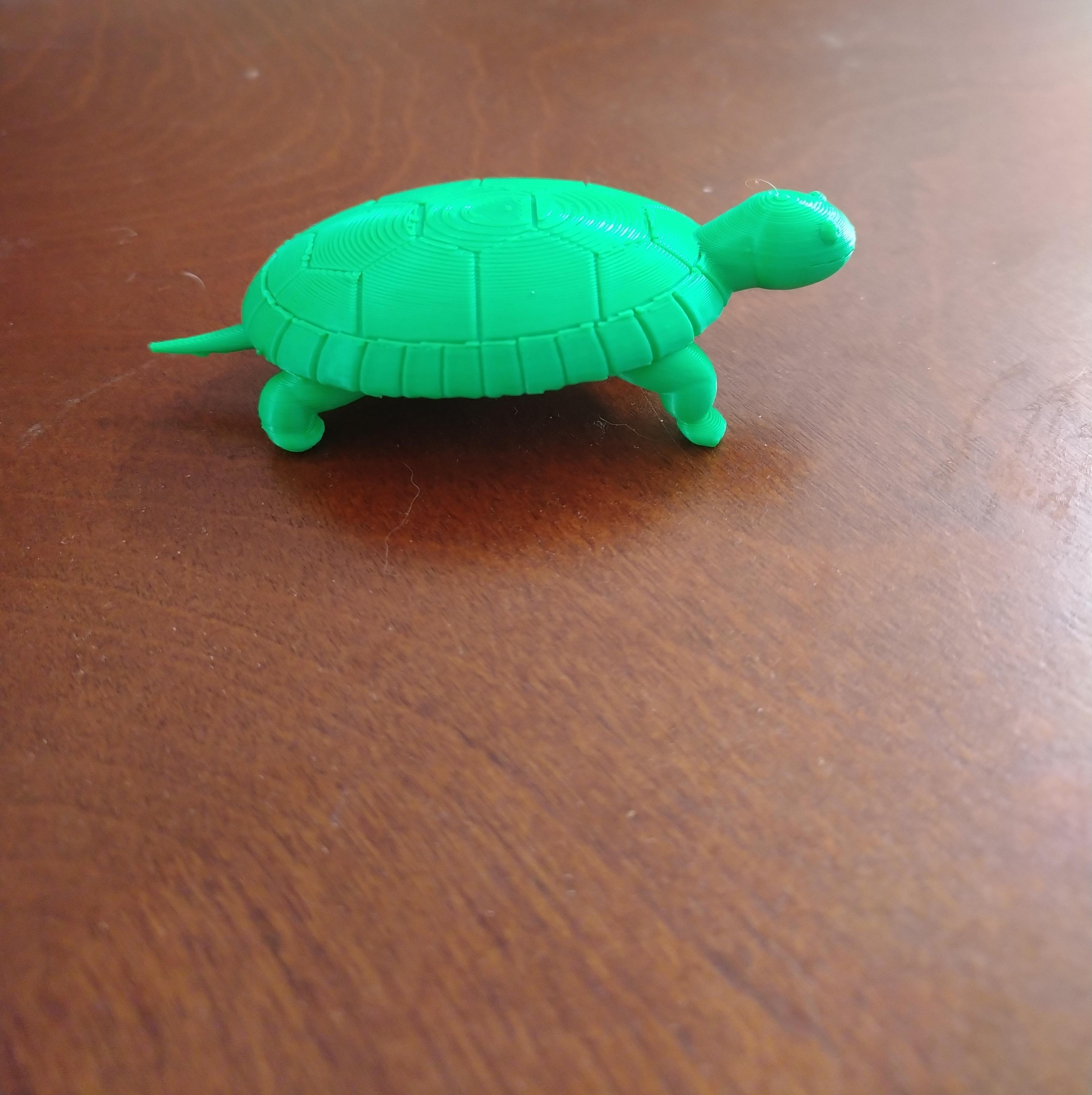 Turtle-01 3d model