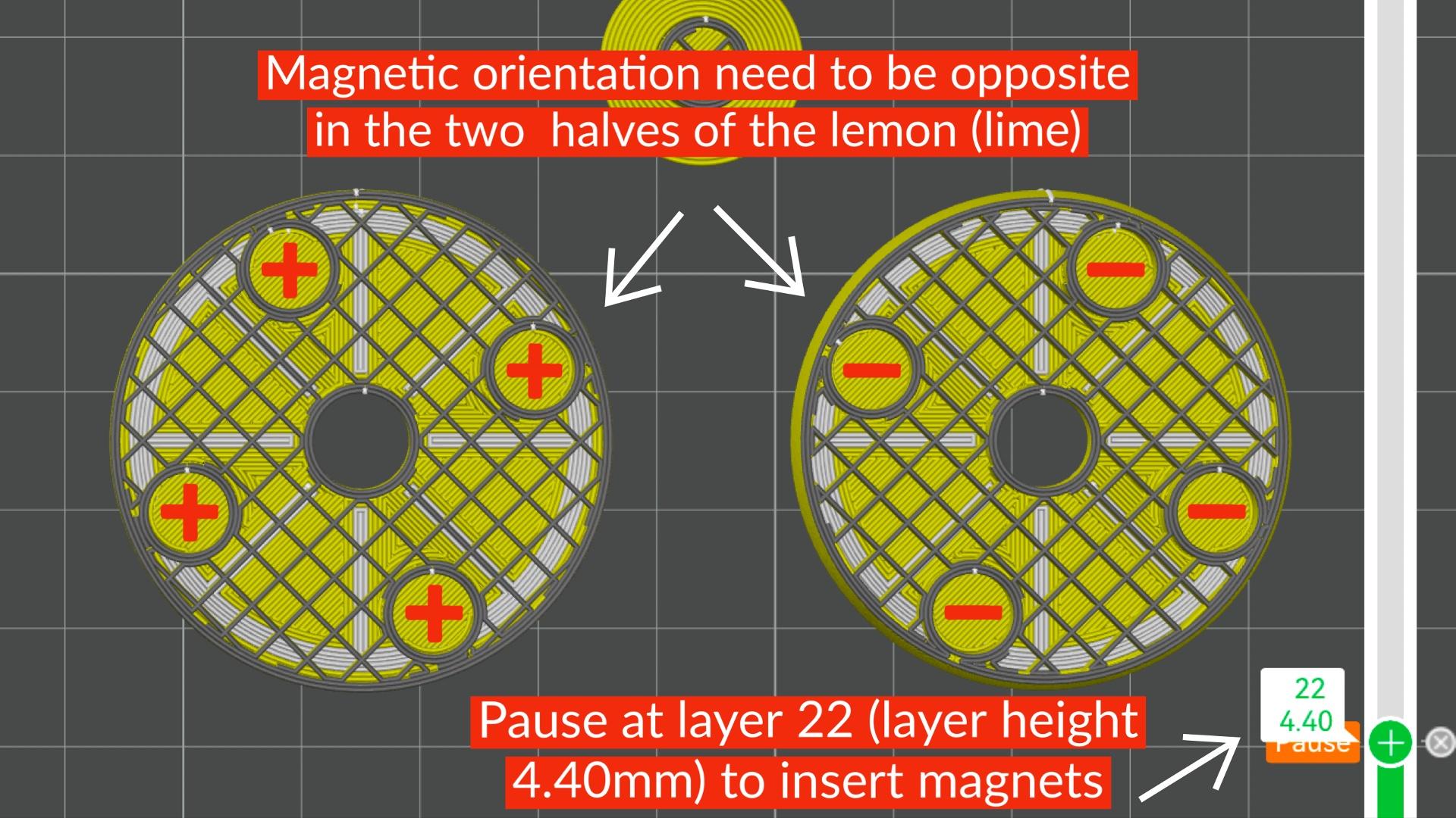 Clicky Citrus Spinners (2-in-1 Fidget Toys) 3d model