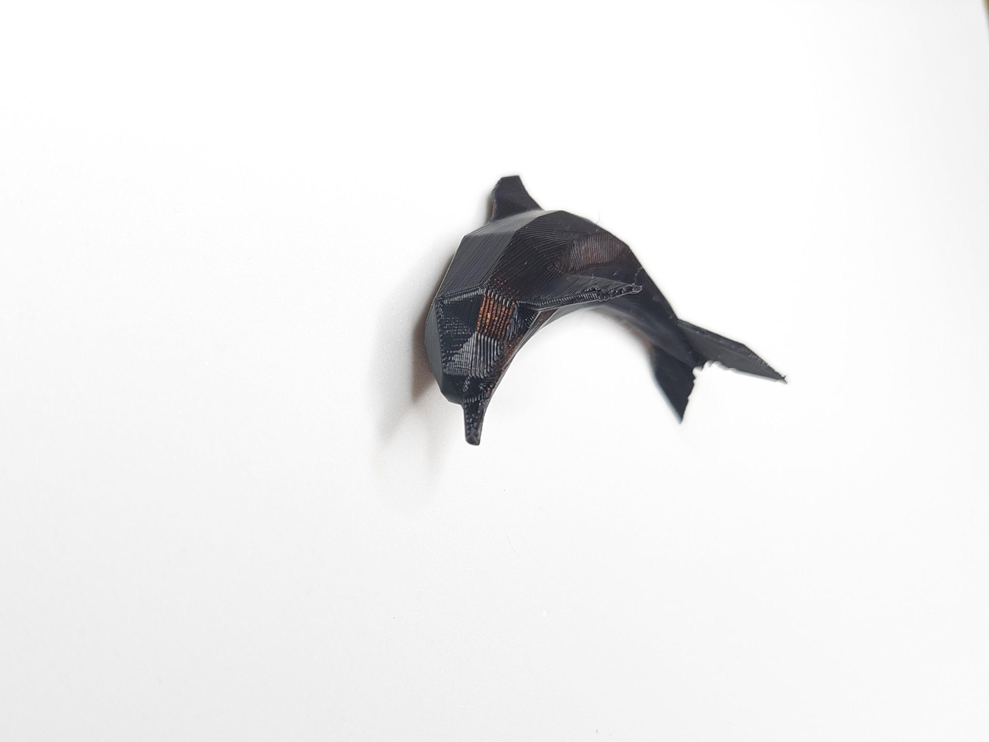 Low Poly Dolphin Fridge Magnet 3d model