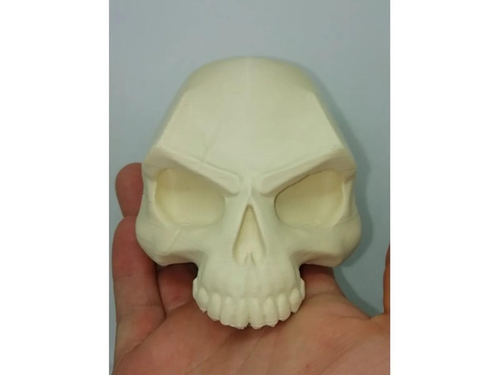 Skull_scar 3d model