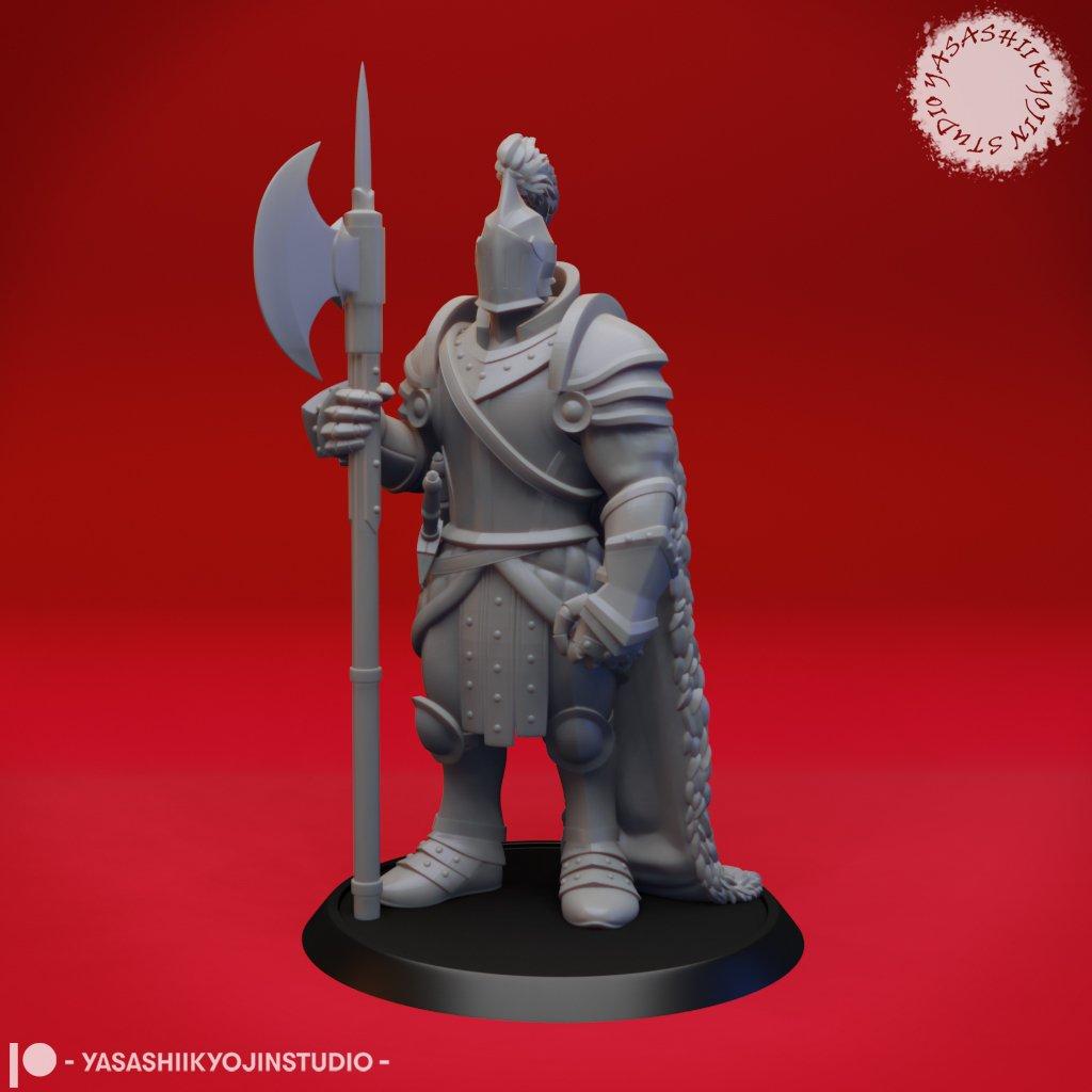 Armored Fighter / Knight - Tabletop Miniature 3d model