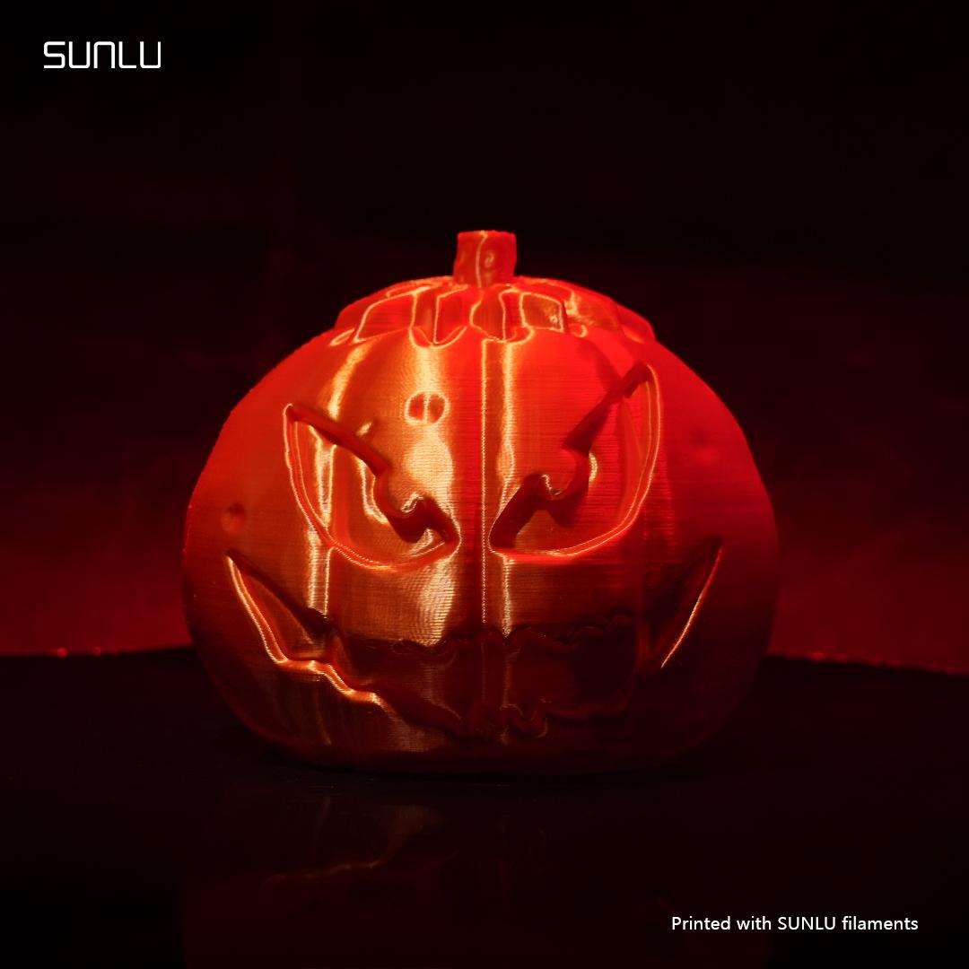 Pumpkin Head_SUNLU 3d model