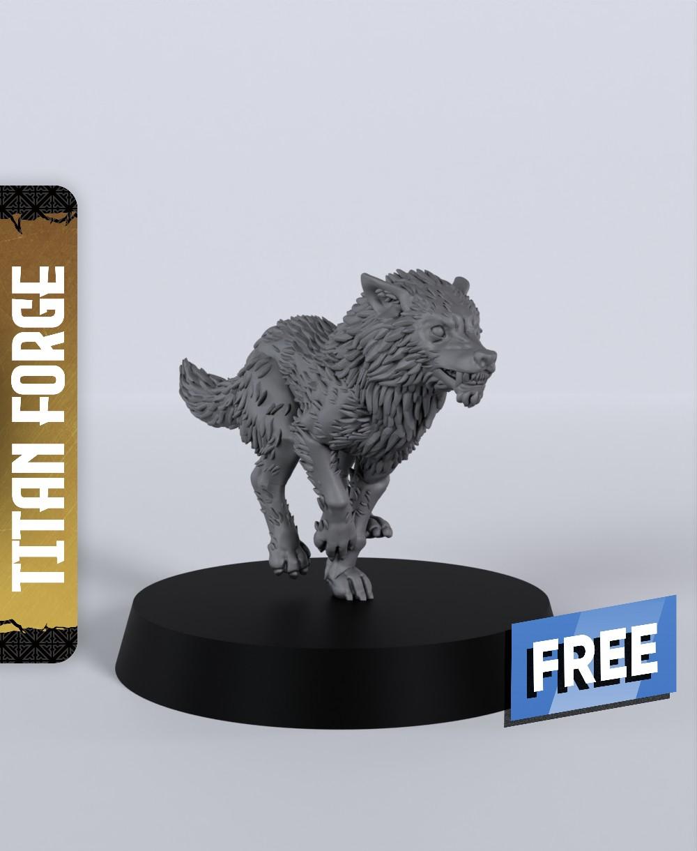 Wolf B - With Free Dragon Warhammer - 5e DnD Inspired for RPG and Wargamers 3d model