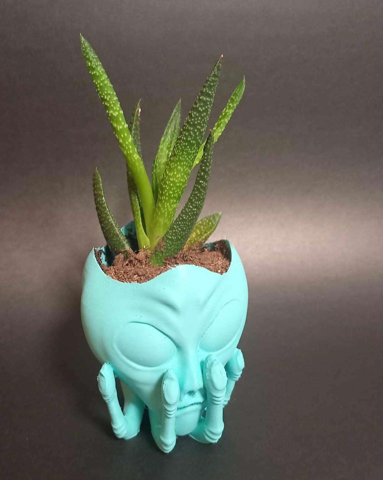 Alien Head in Hand Planter - Easy to Print - With or without drainage. 3d model