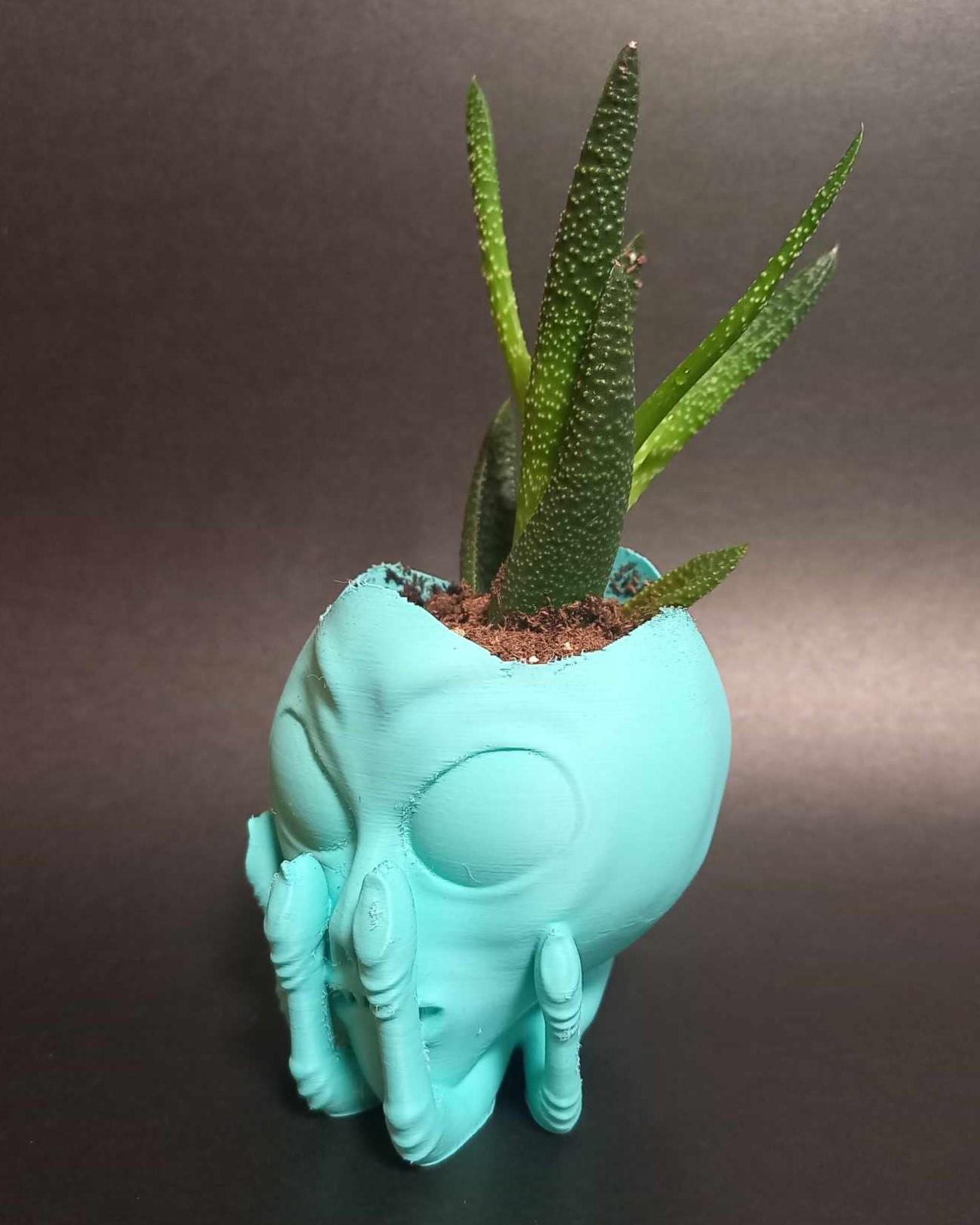 Alien Head in Hand Planter - Easy to Print - With or without drainage. 3d model
