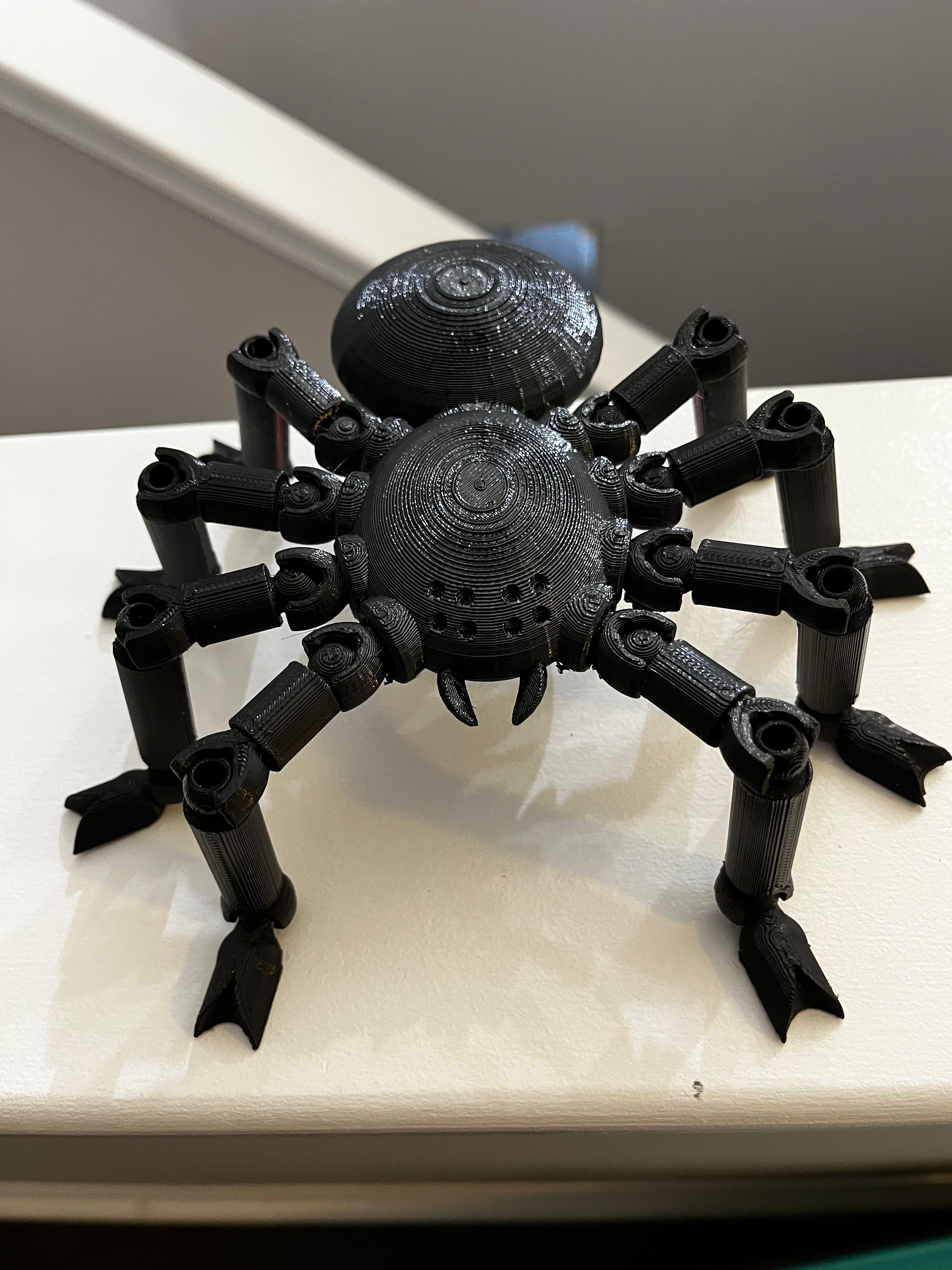 Articulated Spider 3d model