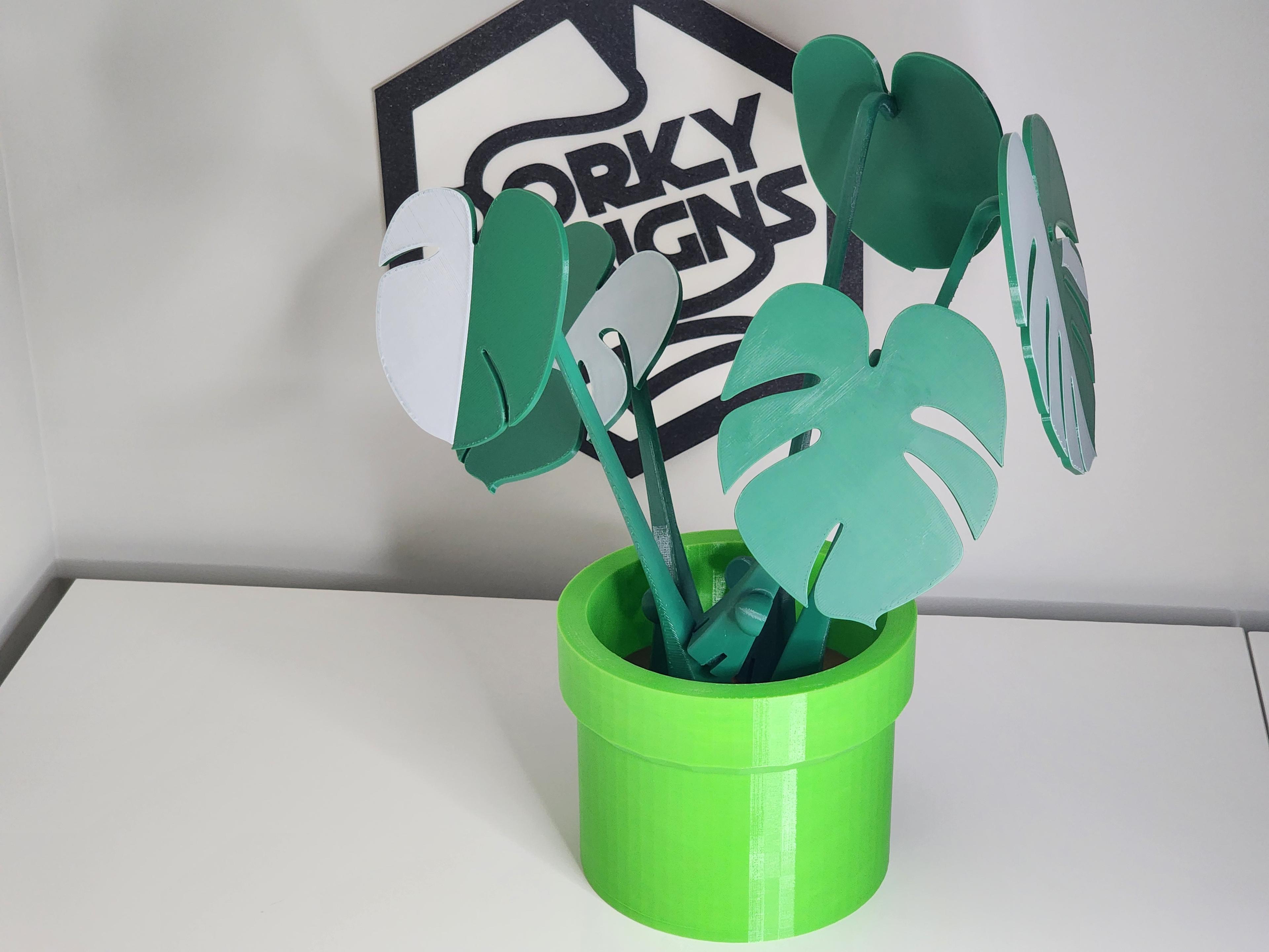 Monstera Coaster Set 3d model