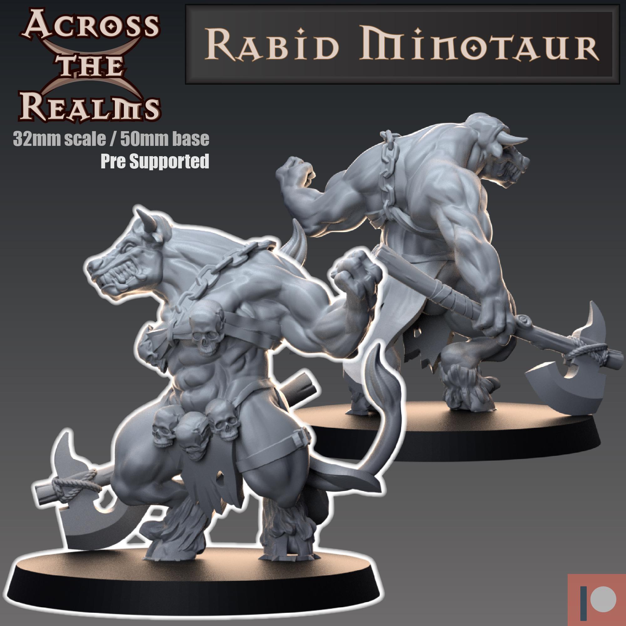 Rabid Minotaur 3d model