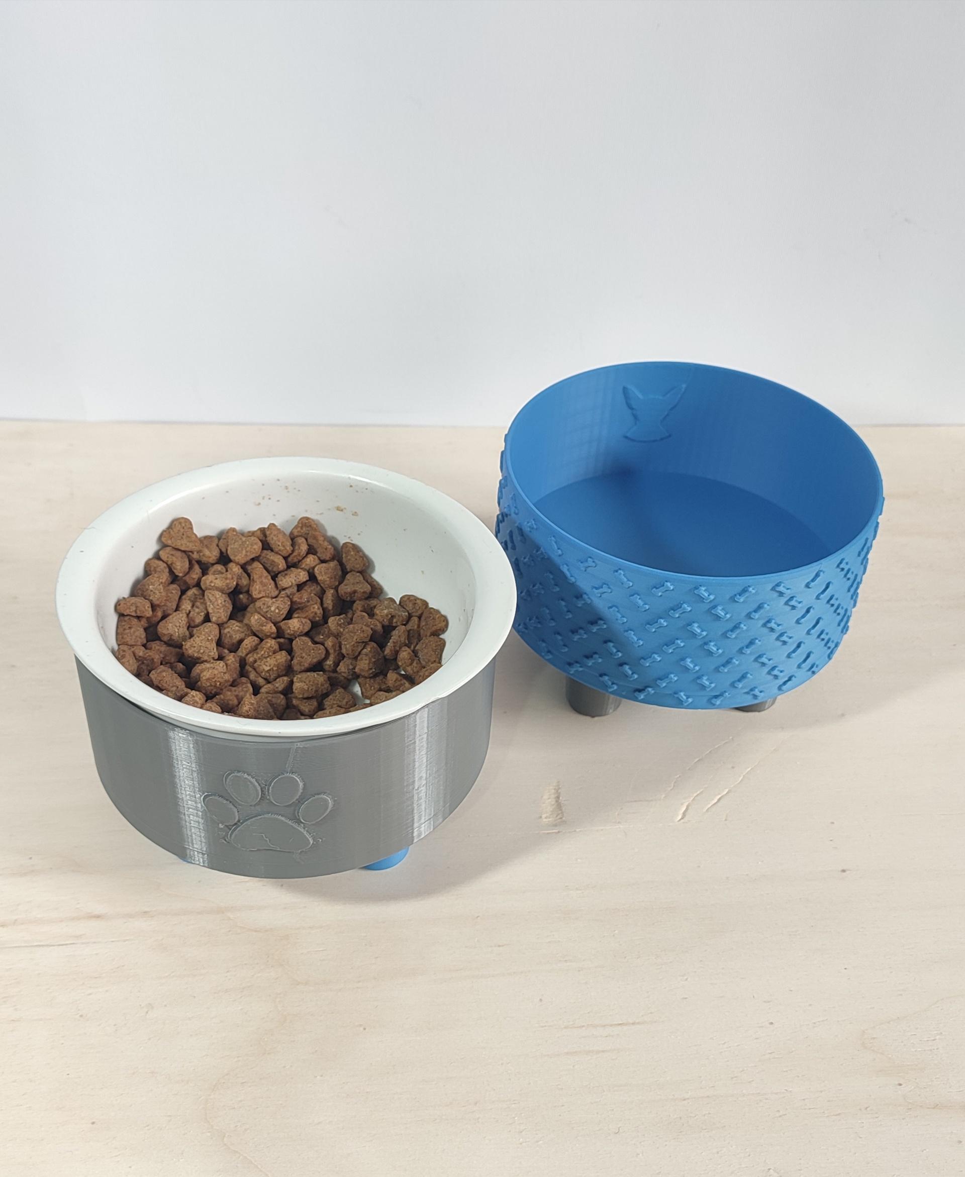 Pet bowls 3d model