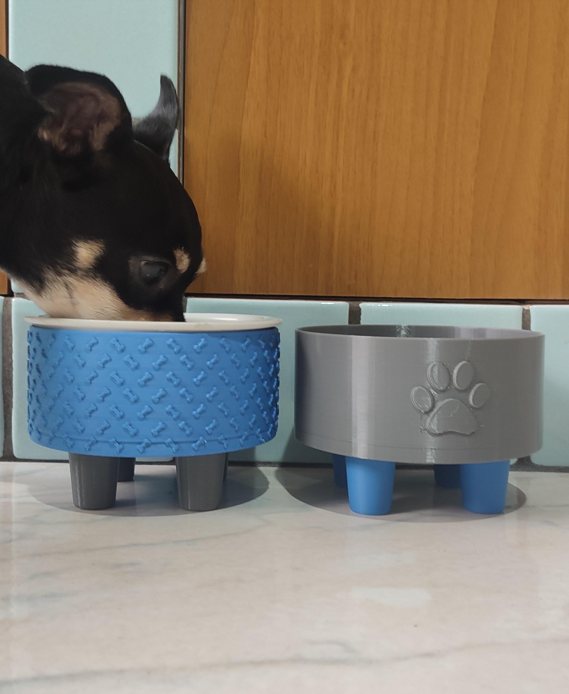 Pet bowls 3d model