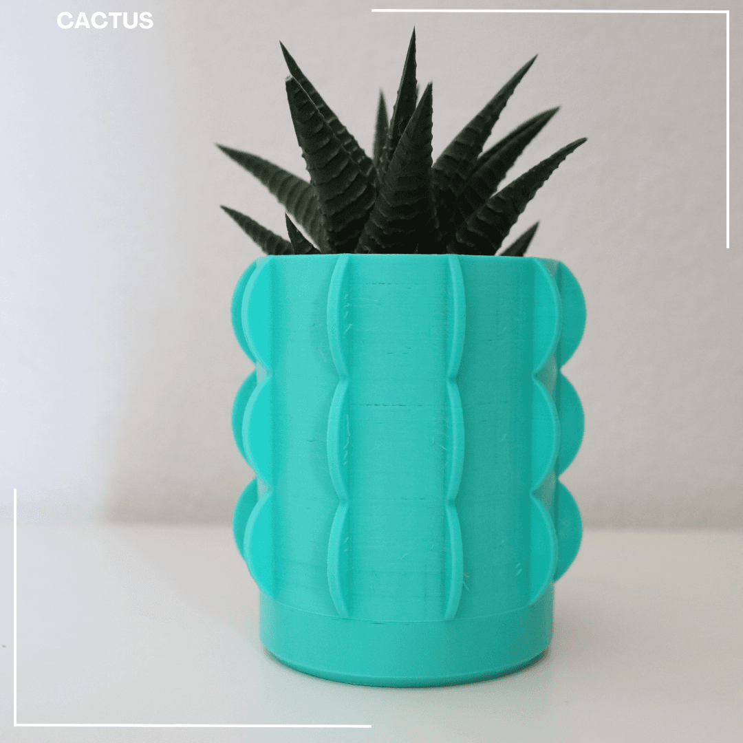 Cactus Vase  3d model
