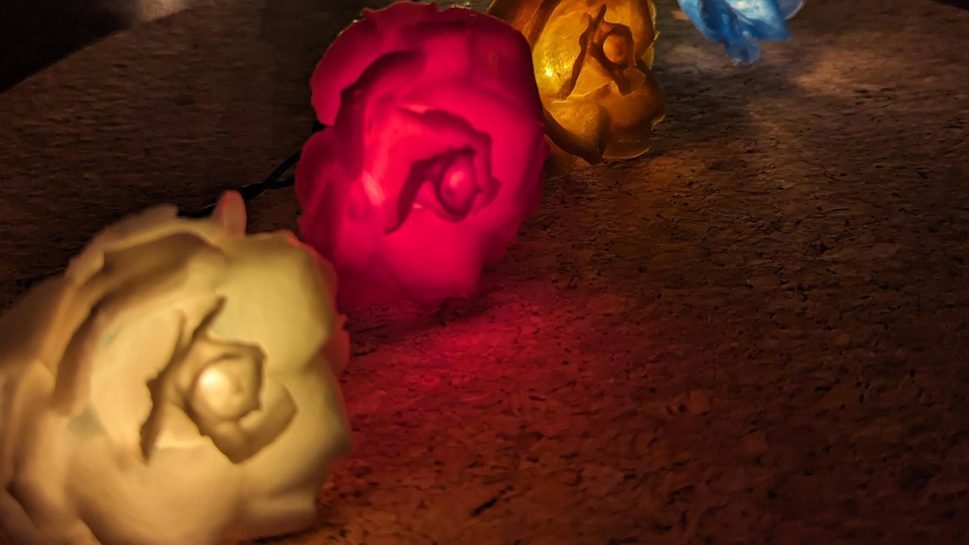 Rose Lights - clip on fairy light covers 3d model